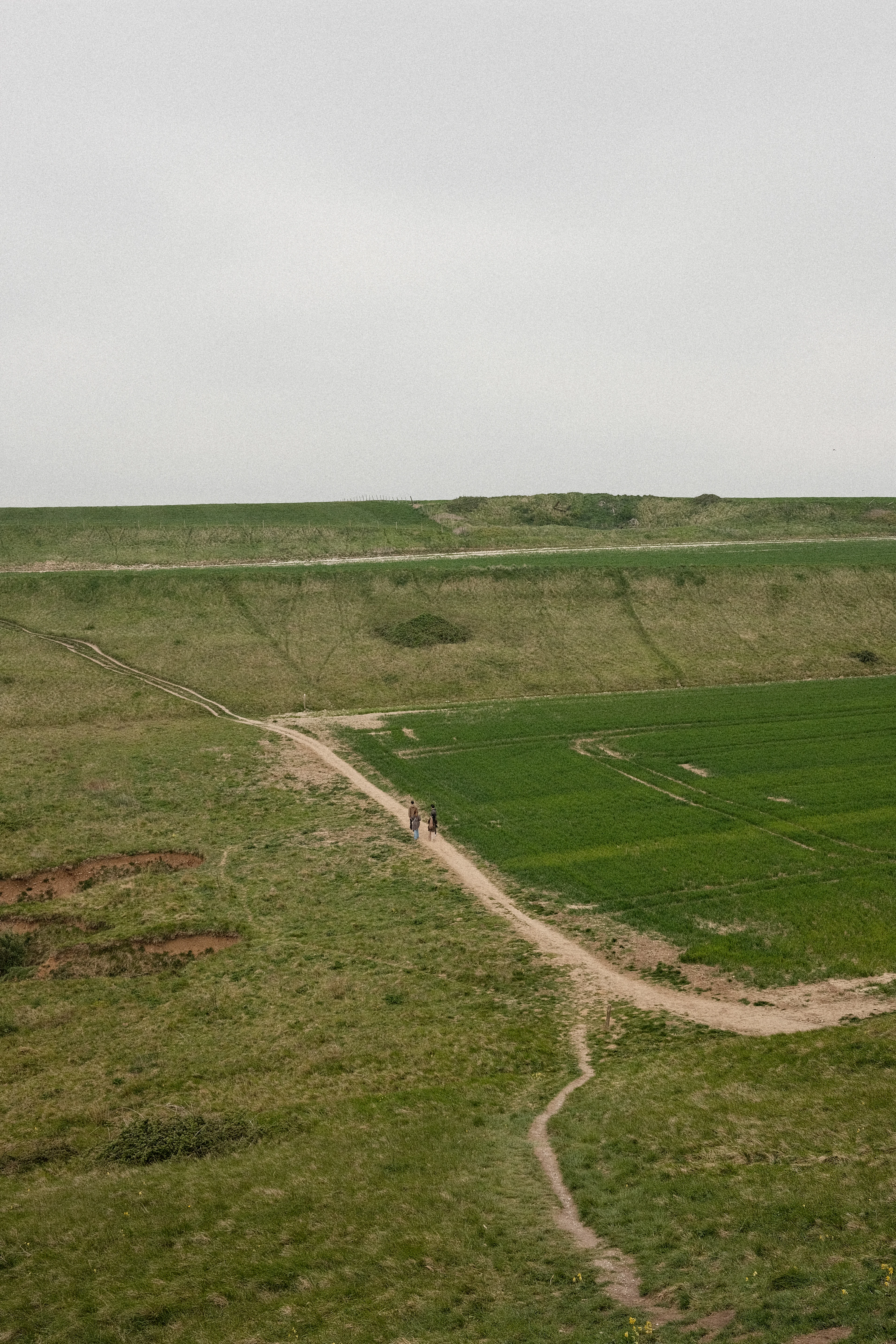 La strada bianca che sale al podere tra i campi.