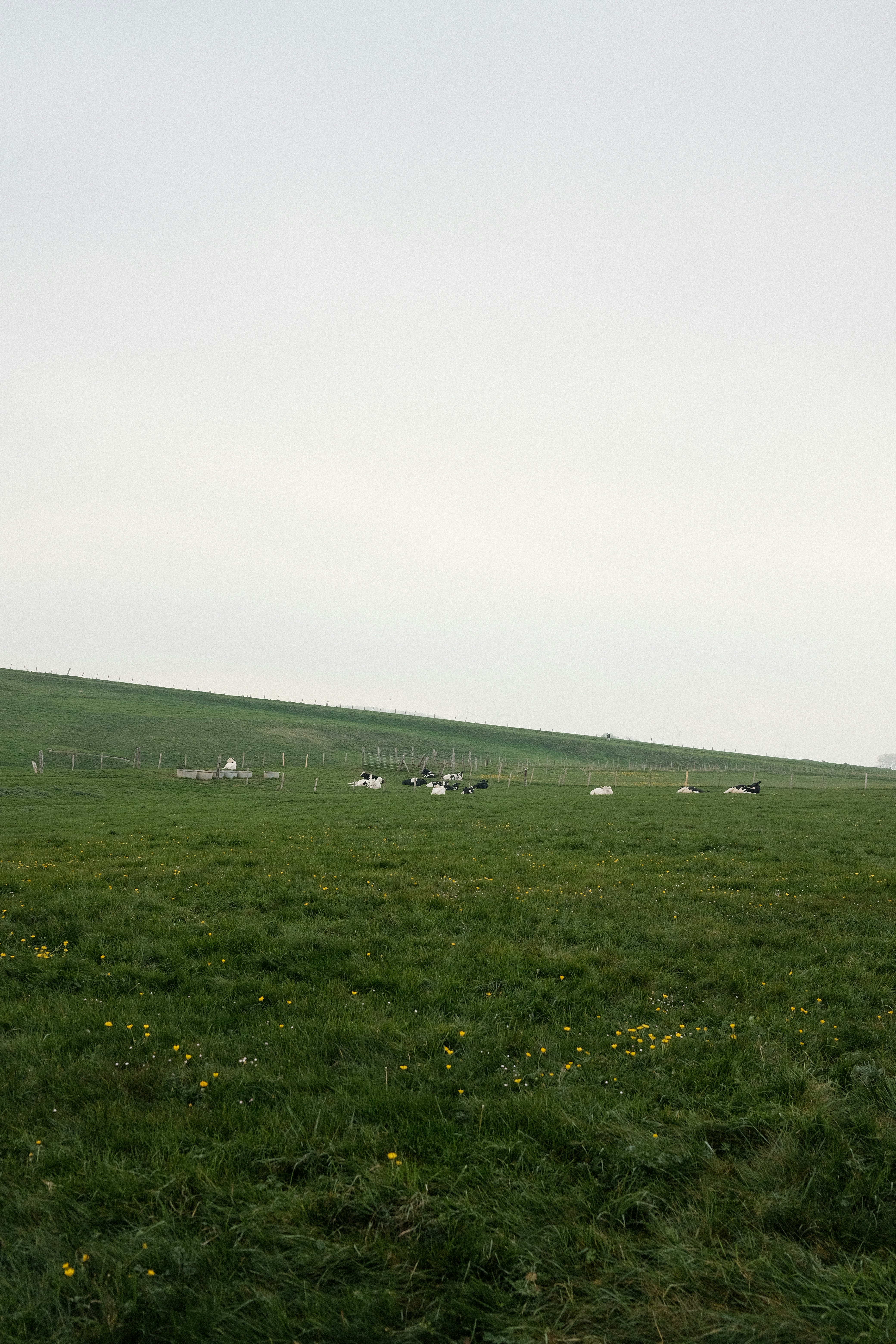 Modern Remote Labs: Portable Power, COMM Testers, and Reliable Field Workflows for Physics Students