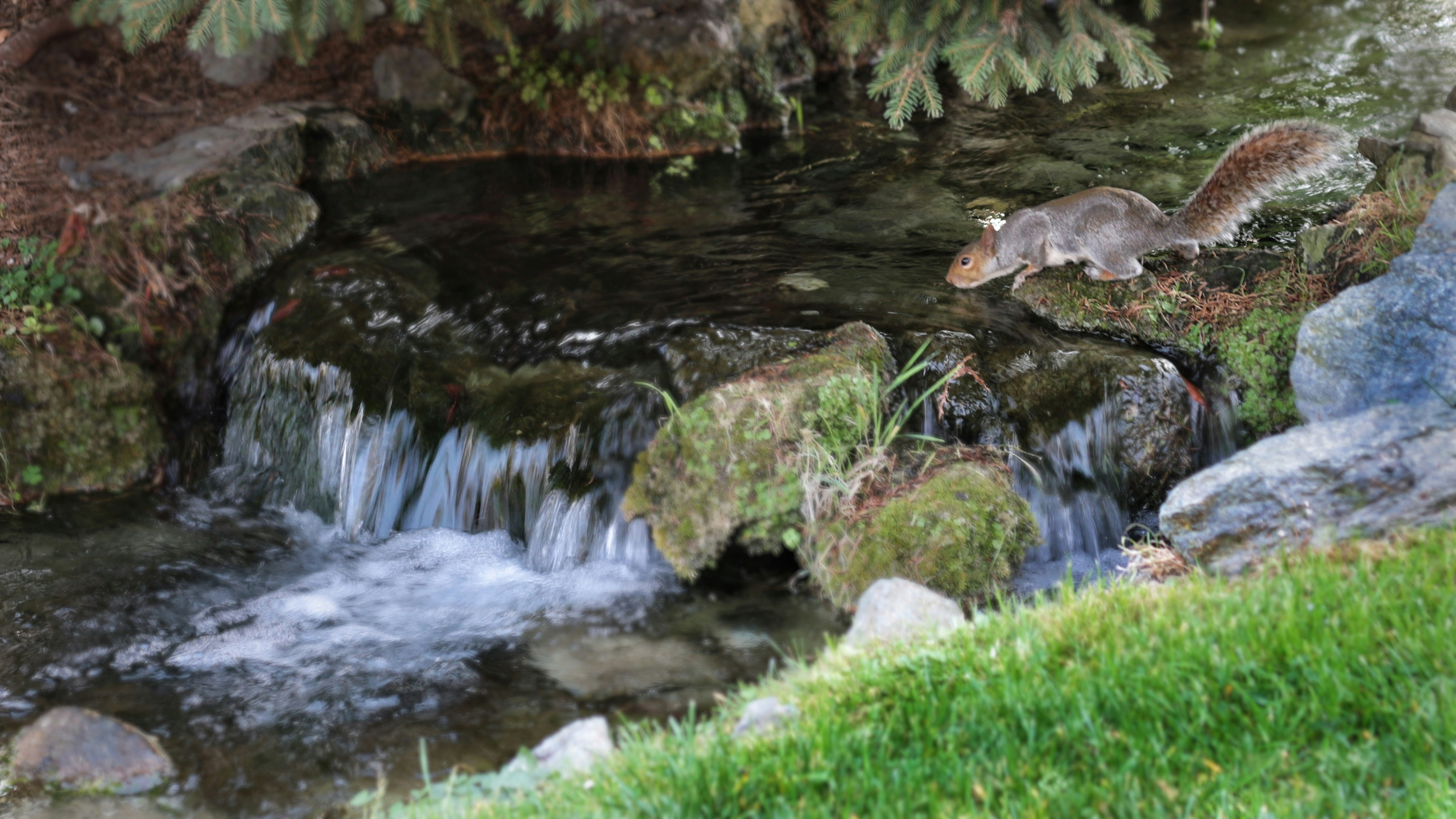 Photo by marcozzolo90