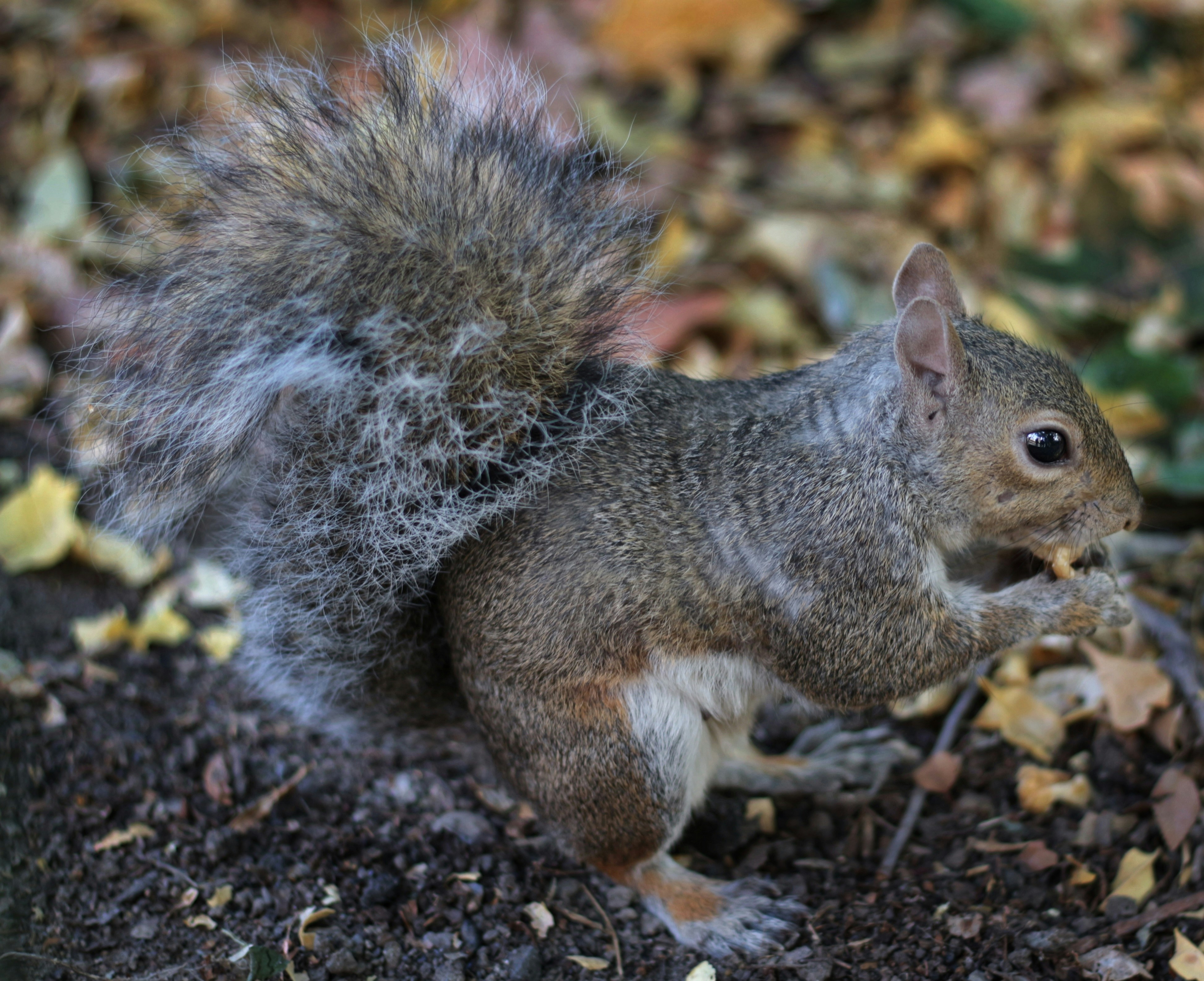 Photo by marcozzolo90