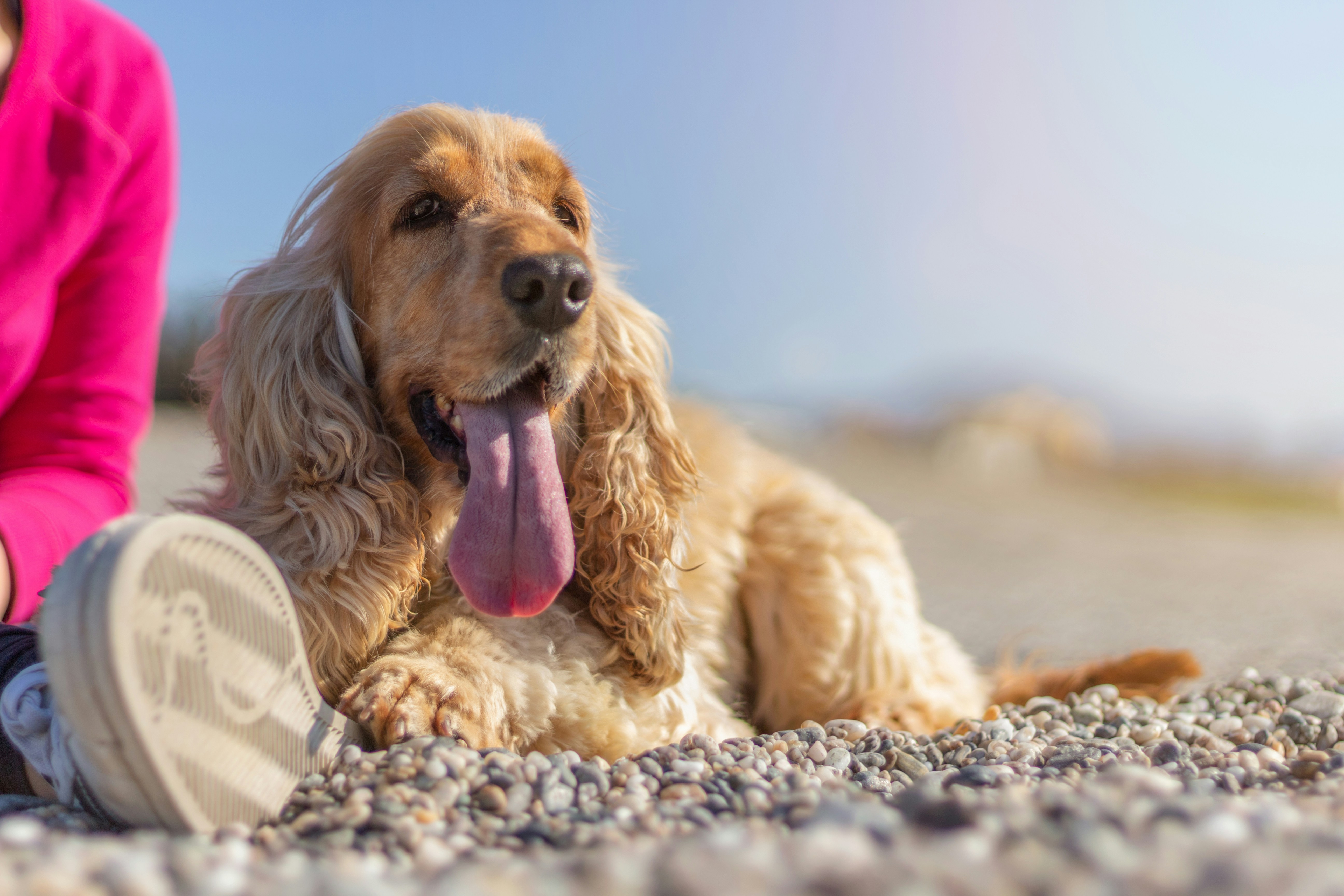 Photo by marcozzolo90