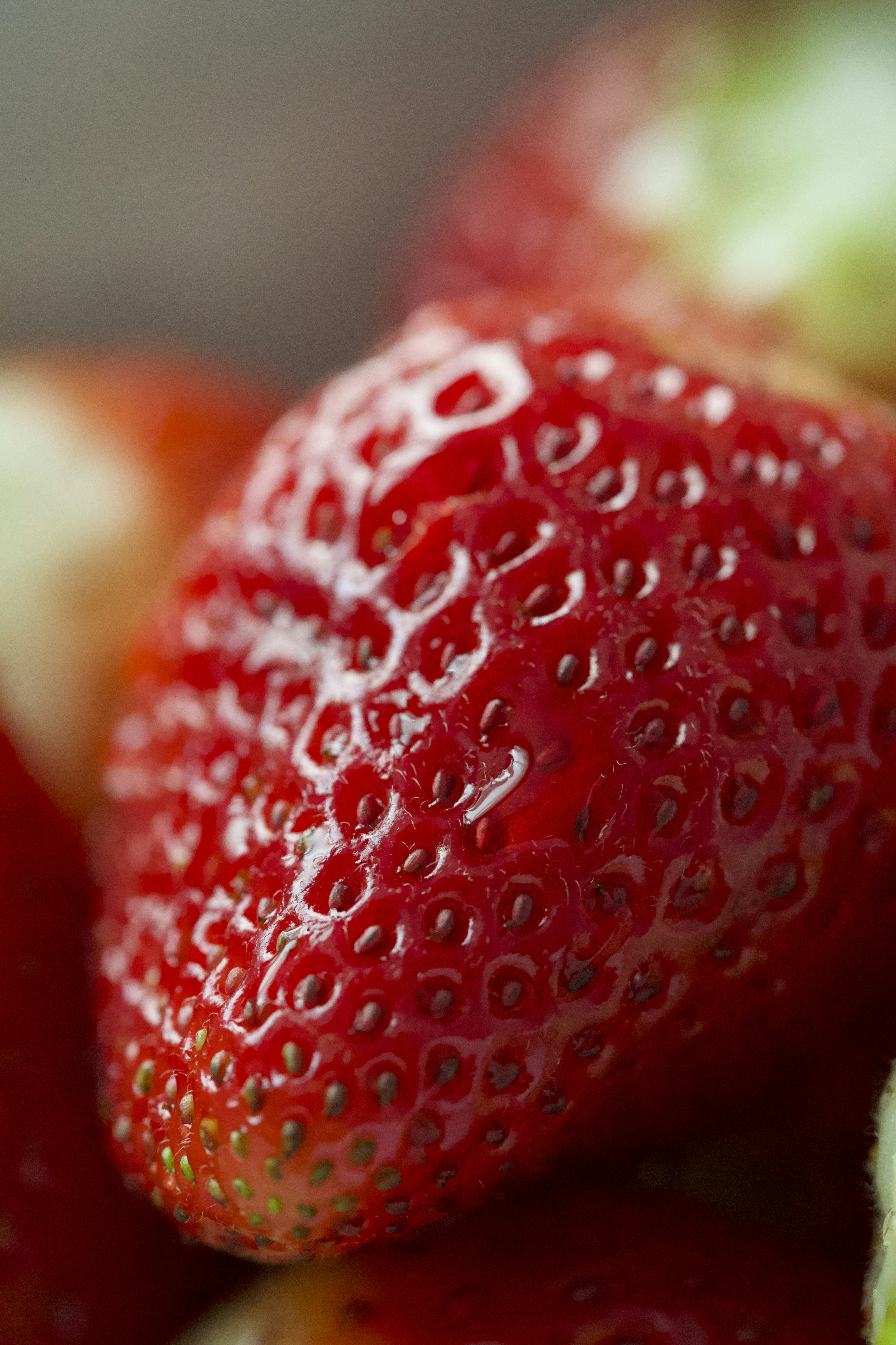 Photo by muscateer777