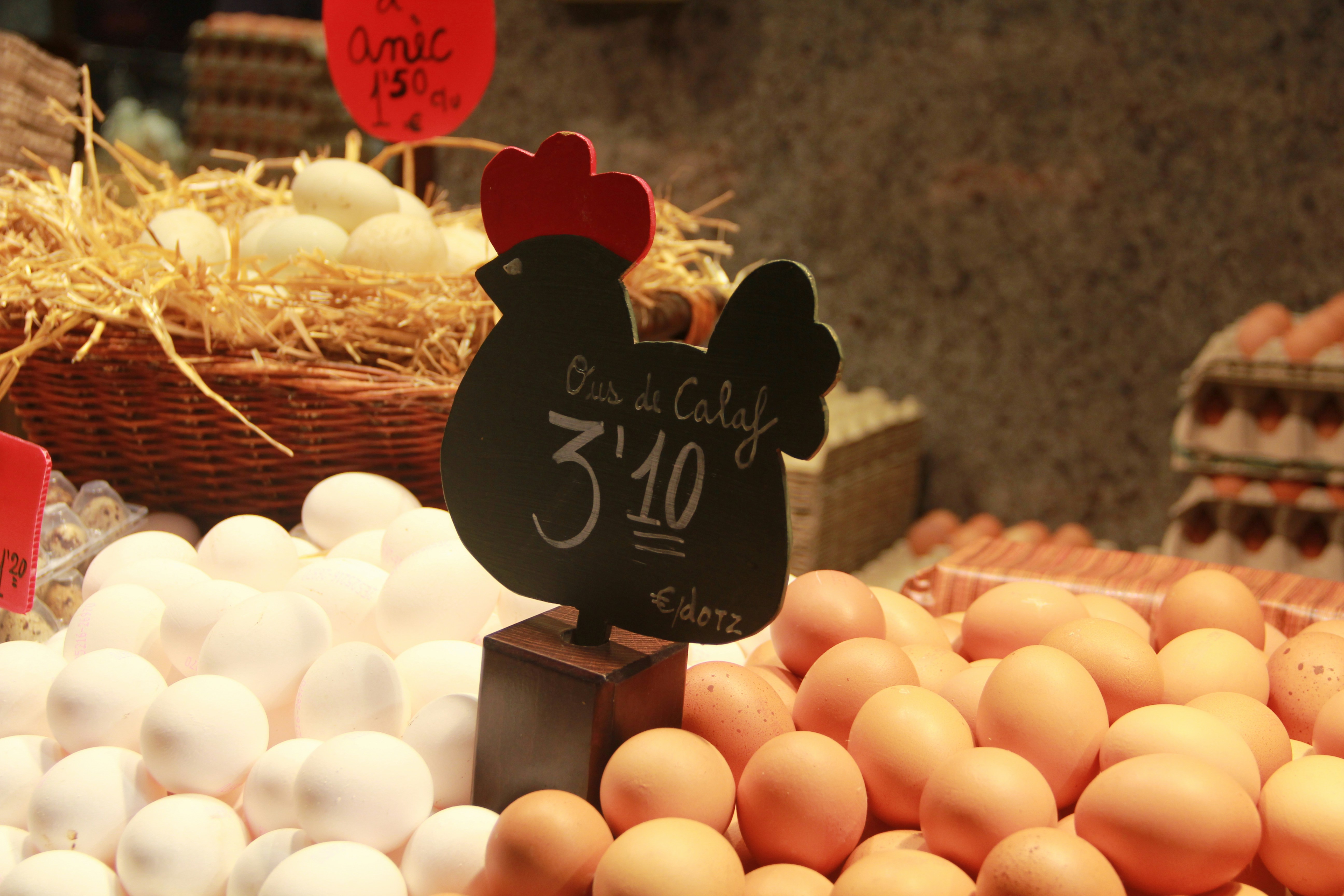 Meat, Milk, and Mushrooms: The Case for Going All-In on Local Omnivory