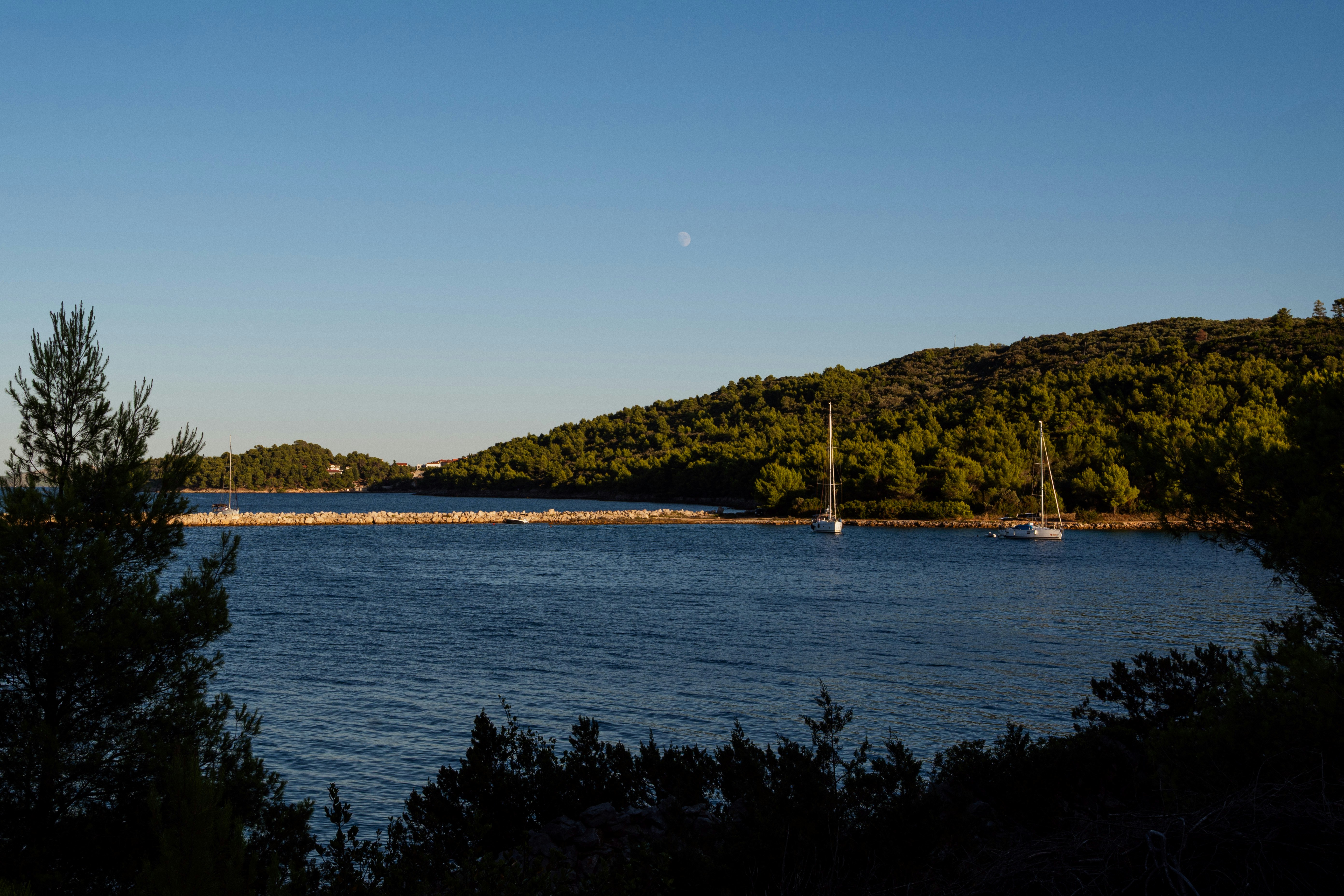 Chartering at the Right Moment: A Savvy Traveler's Guide to Peak Value and Perfect Conditions