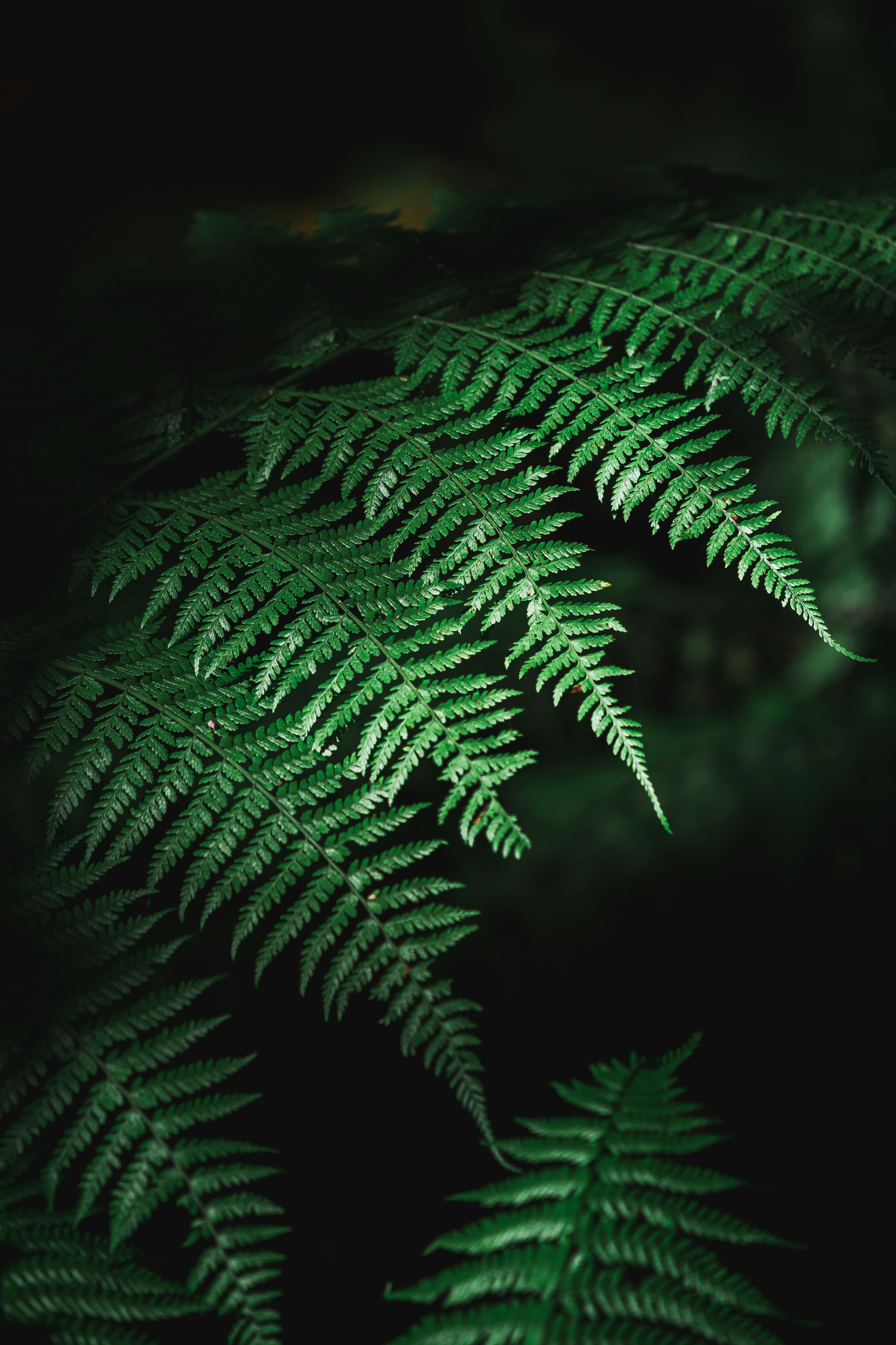 Photo by beckerworks