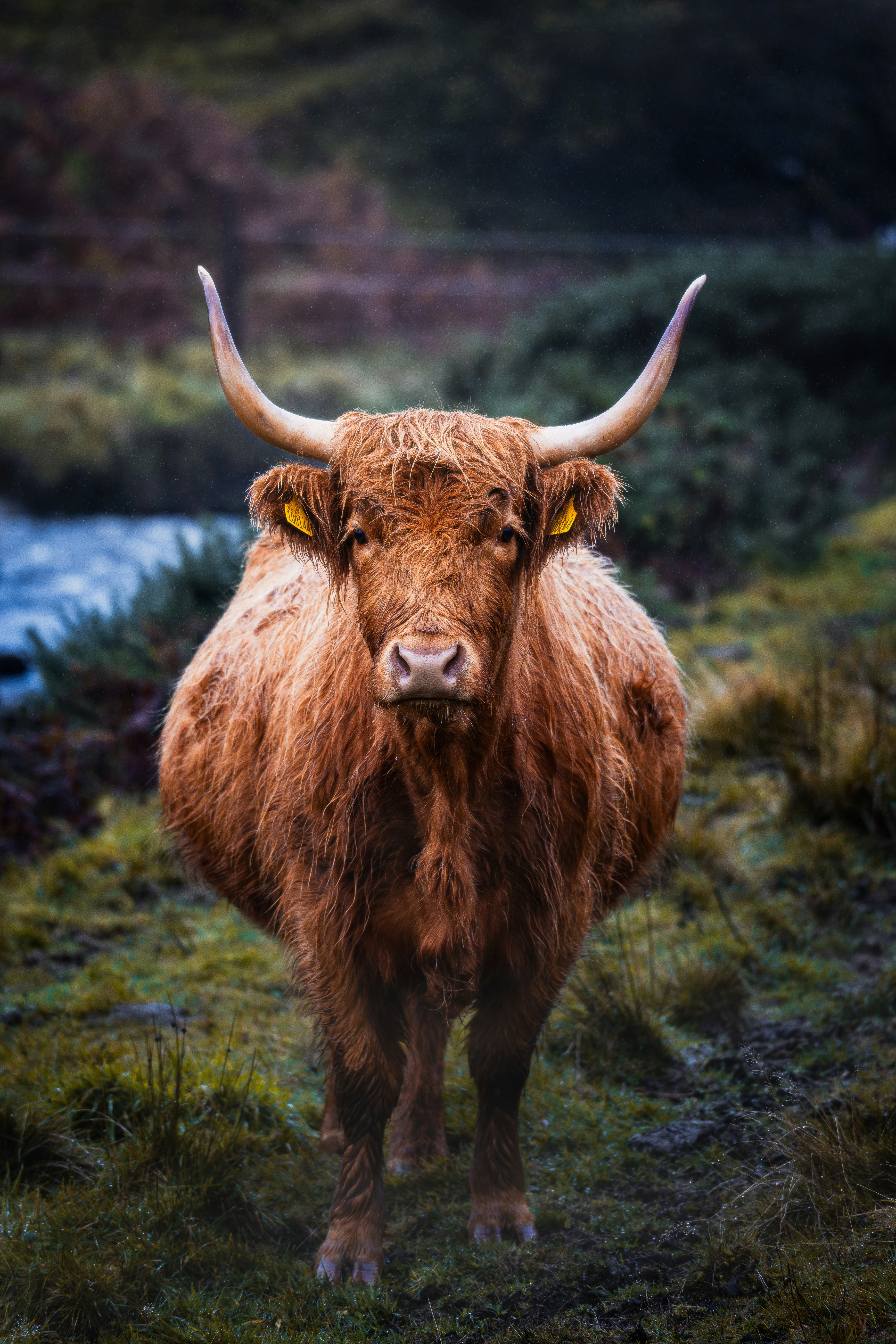 Photo by beckerworks