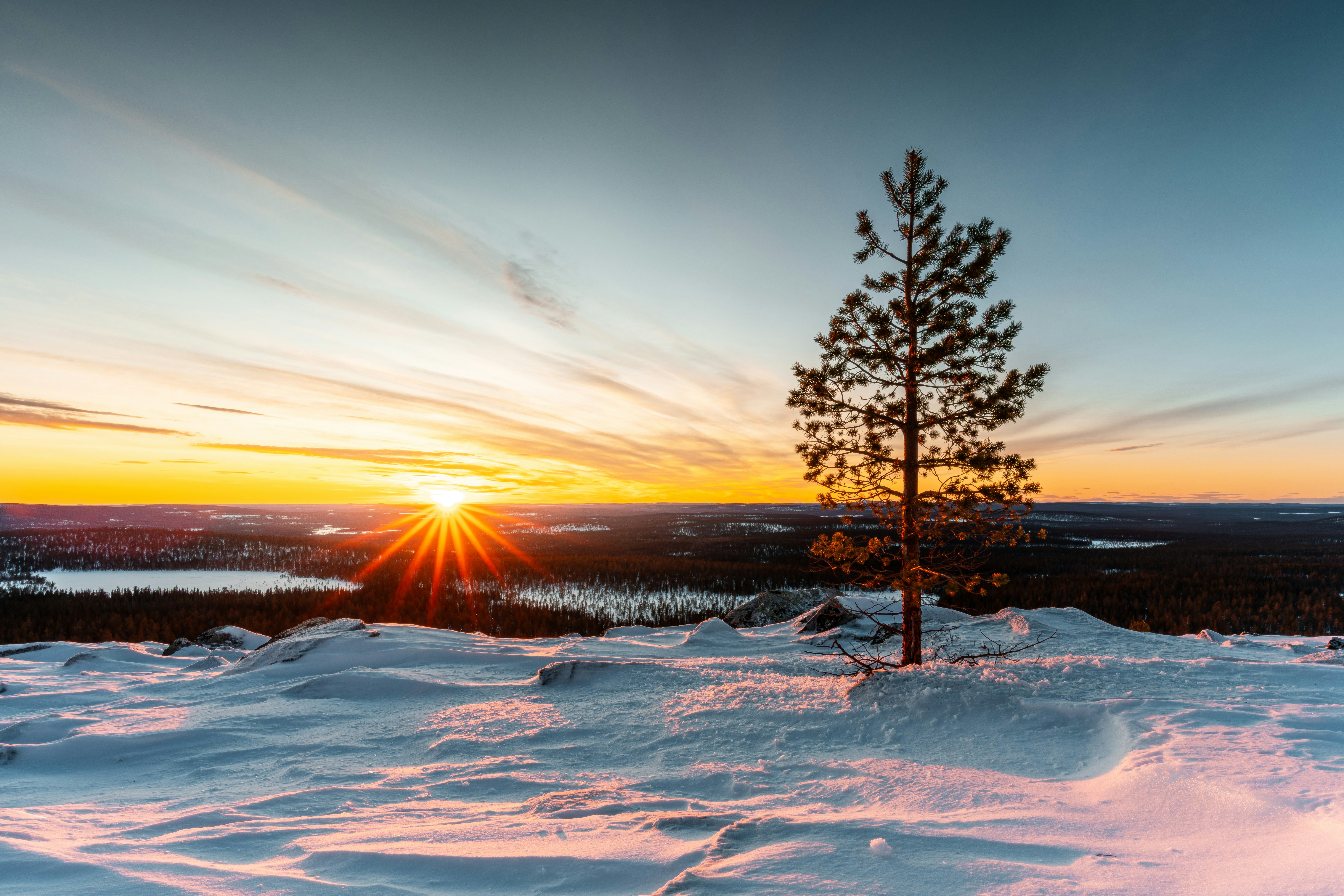Plongez dans l'univers captivant de la technologie IA : Les bases pour les néophytes