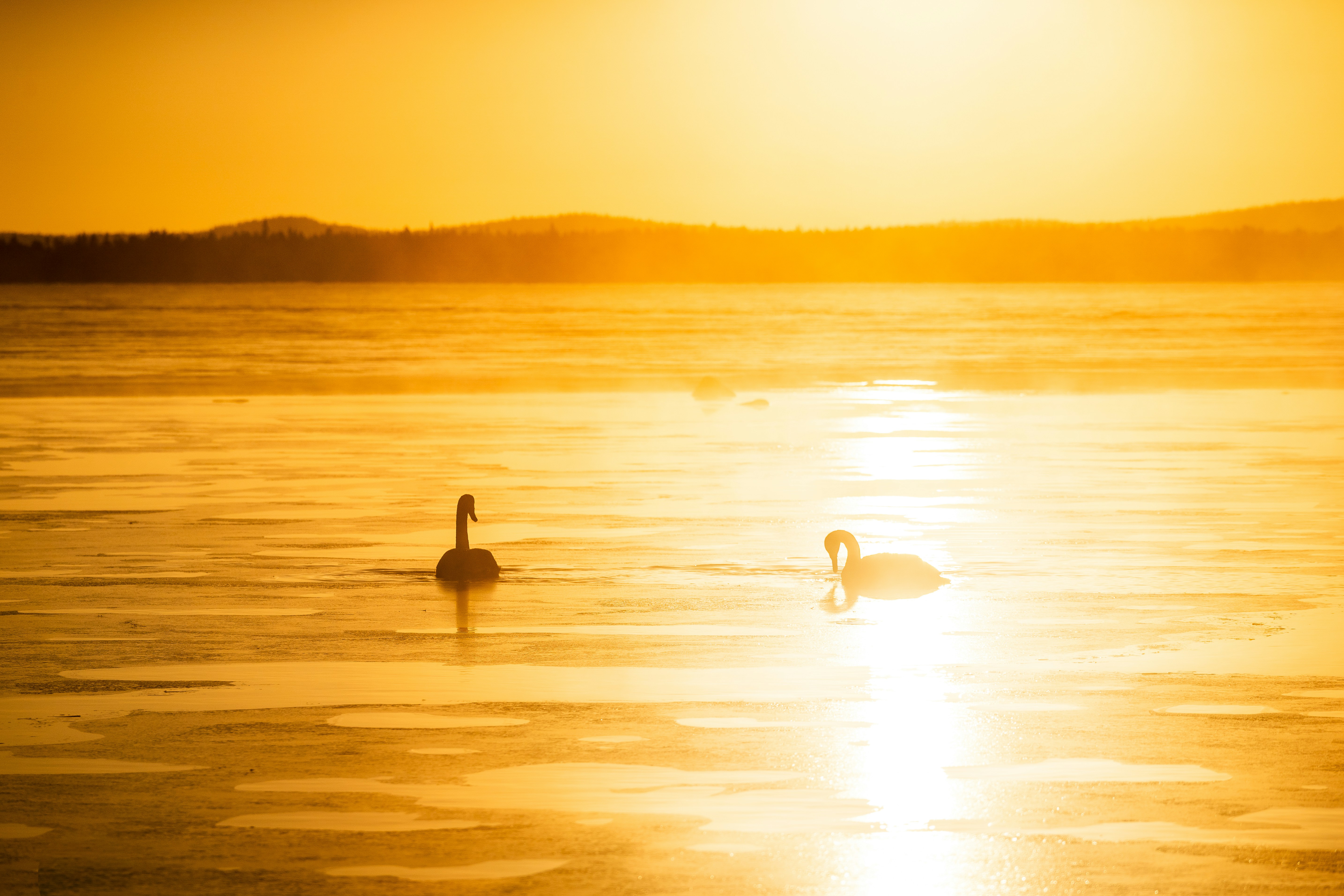 Photo by beckerworks