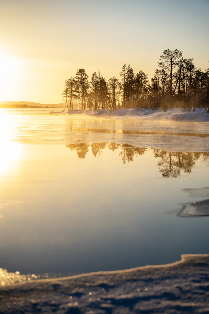 Golden sunrise over a frozen lake ringed by misty pines.