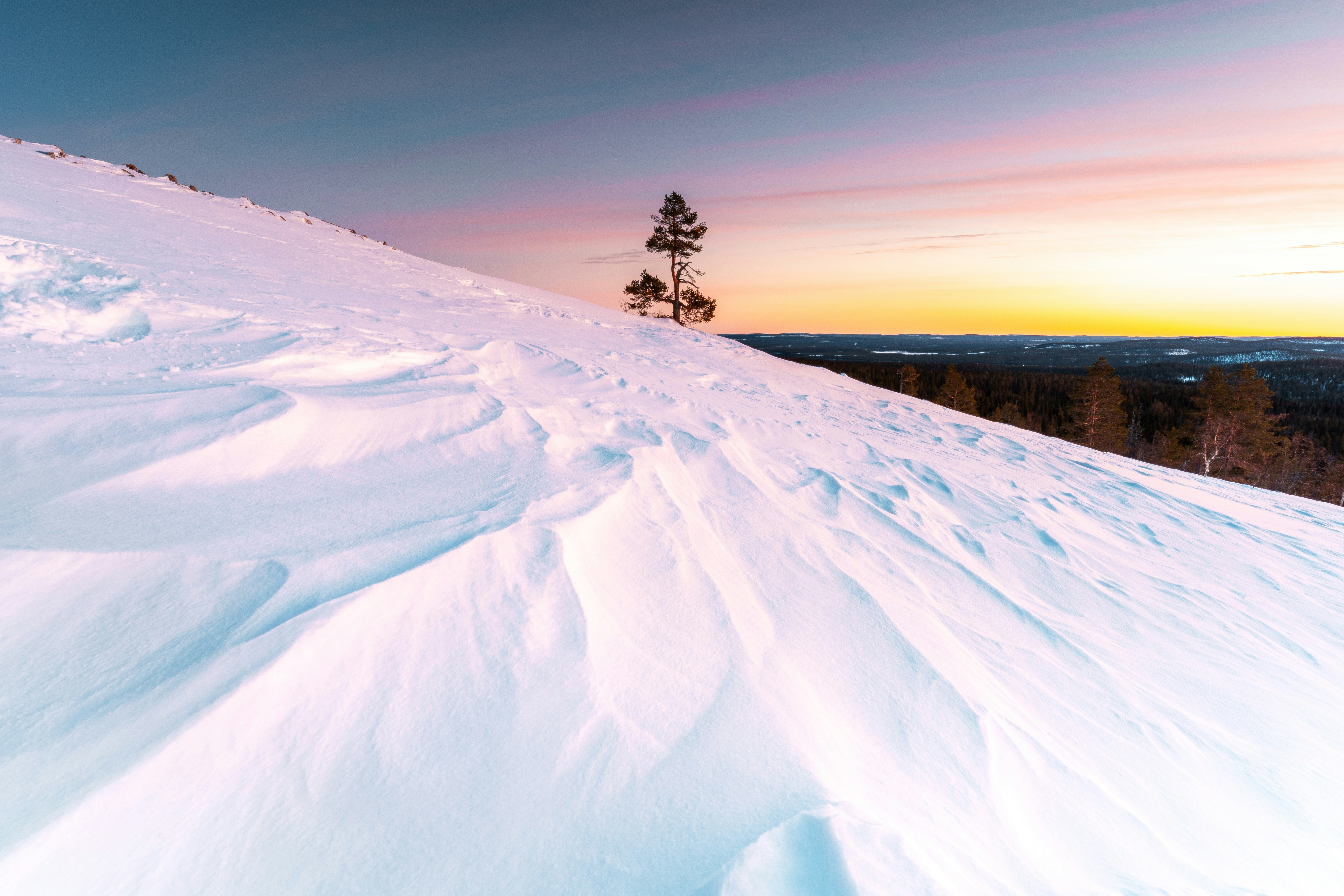 Photo by beckerworks