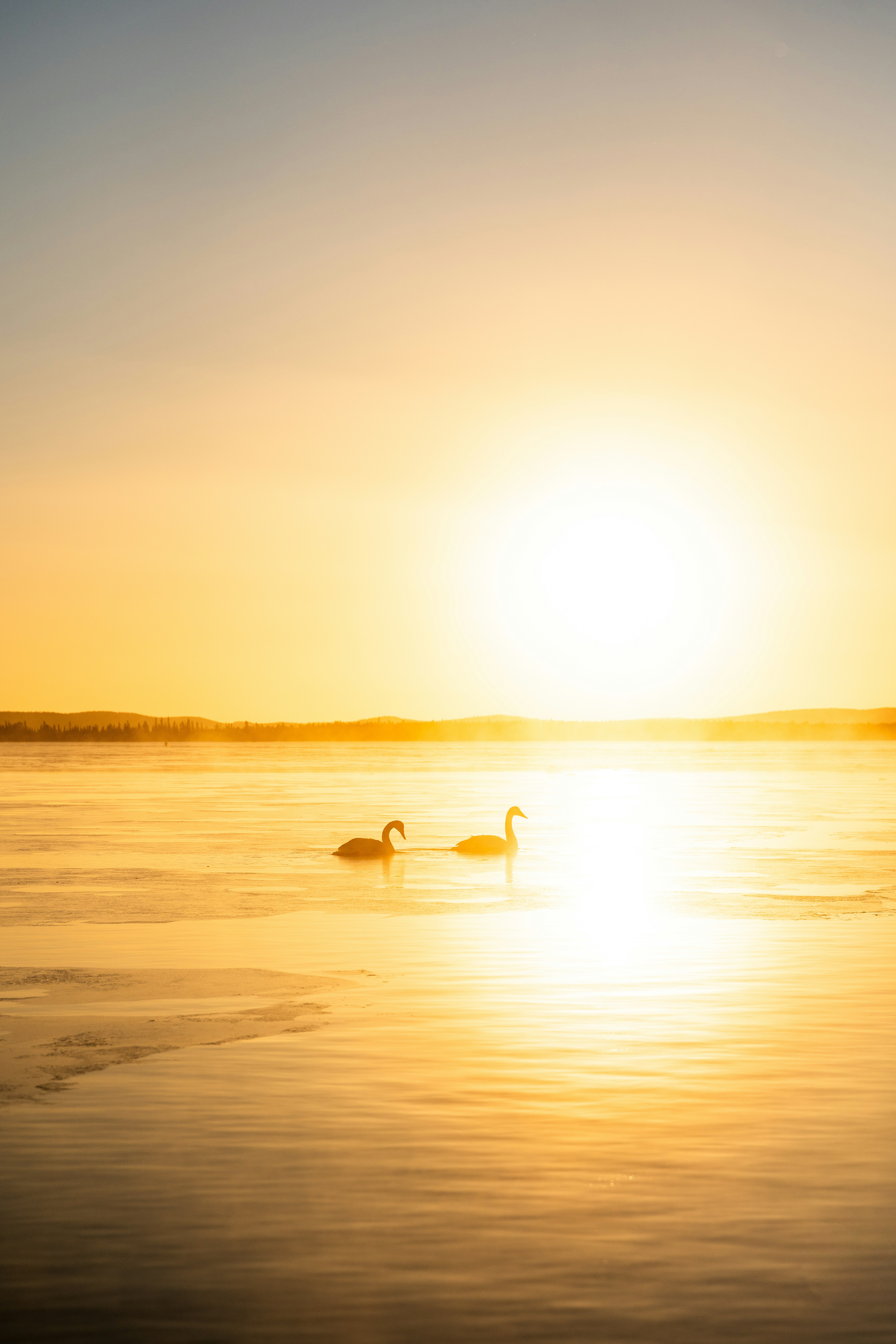 Photo by beckerworks