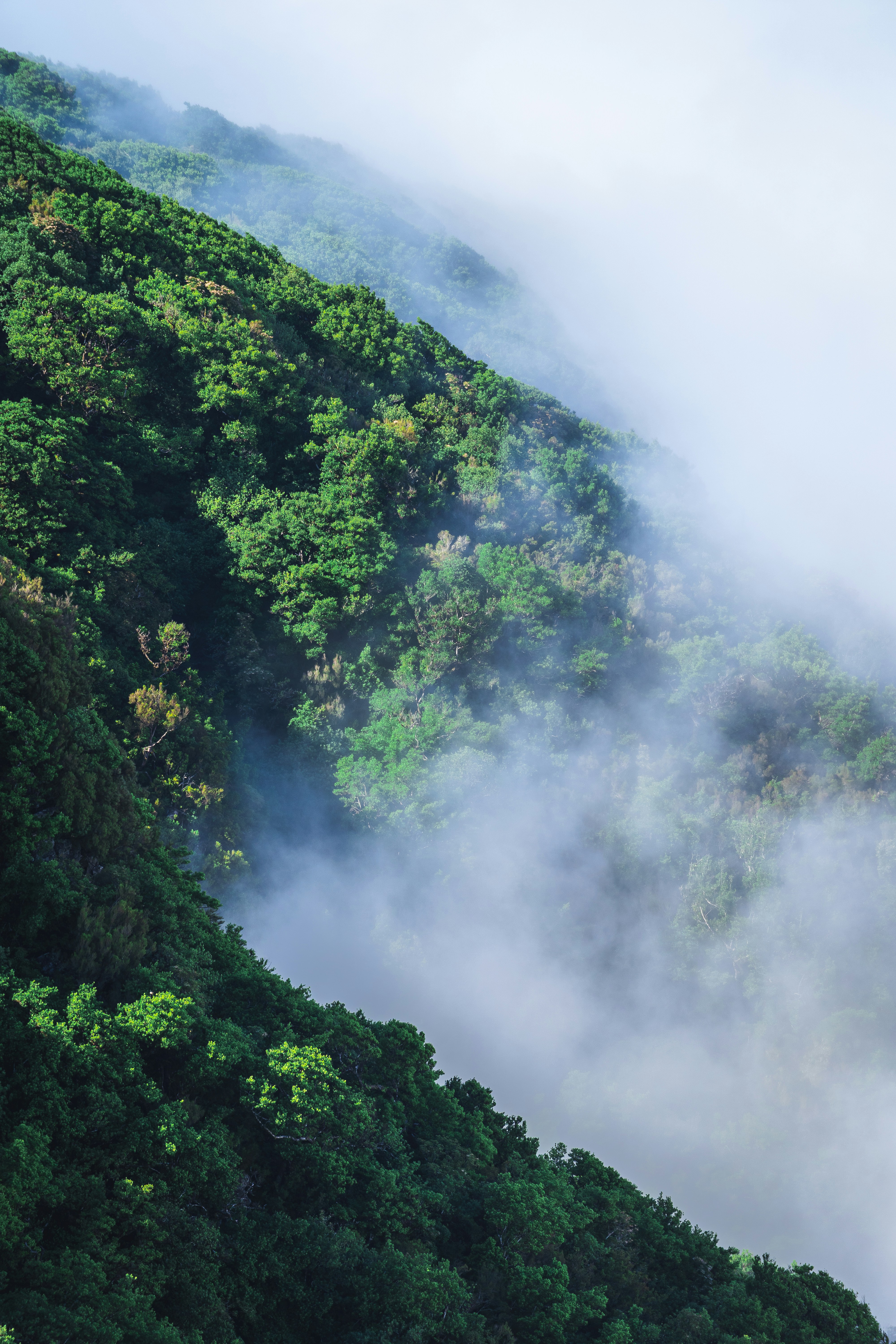 Photo by beckerworks