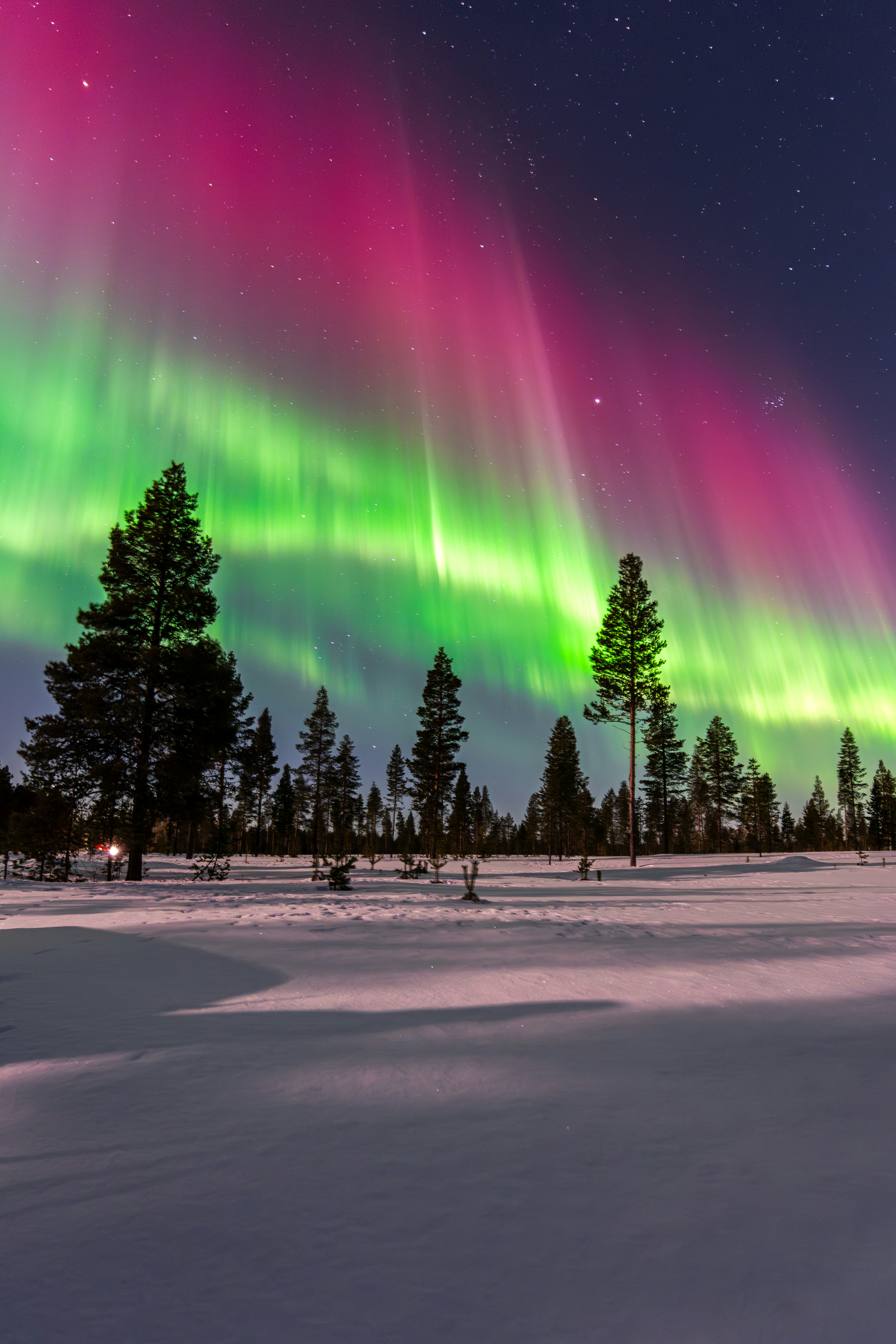 Photo by beckerworks