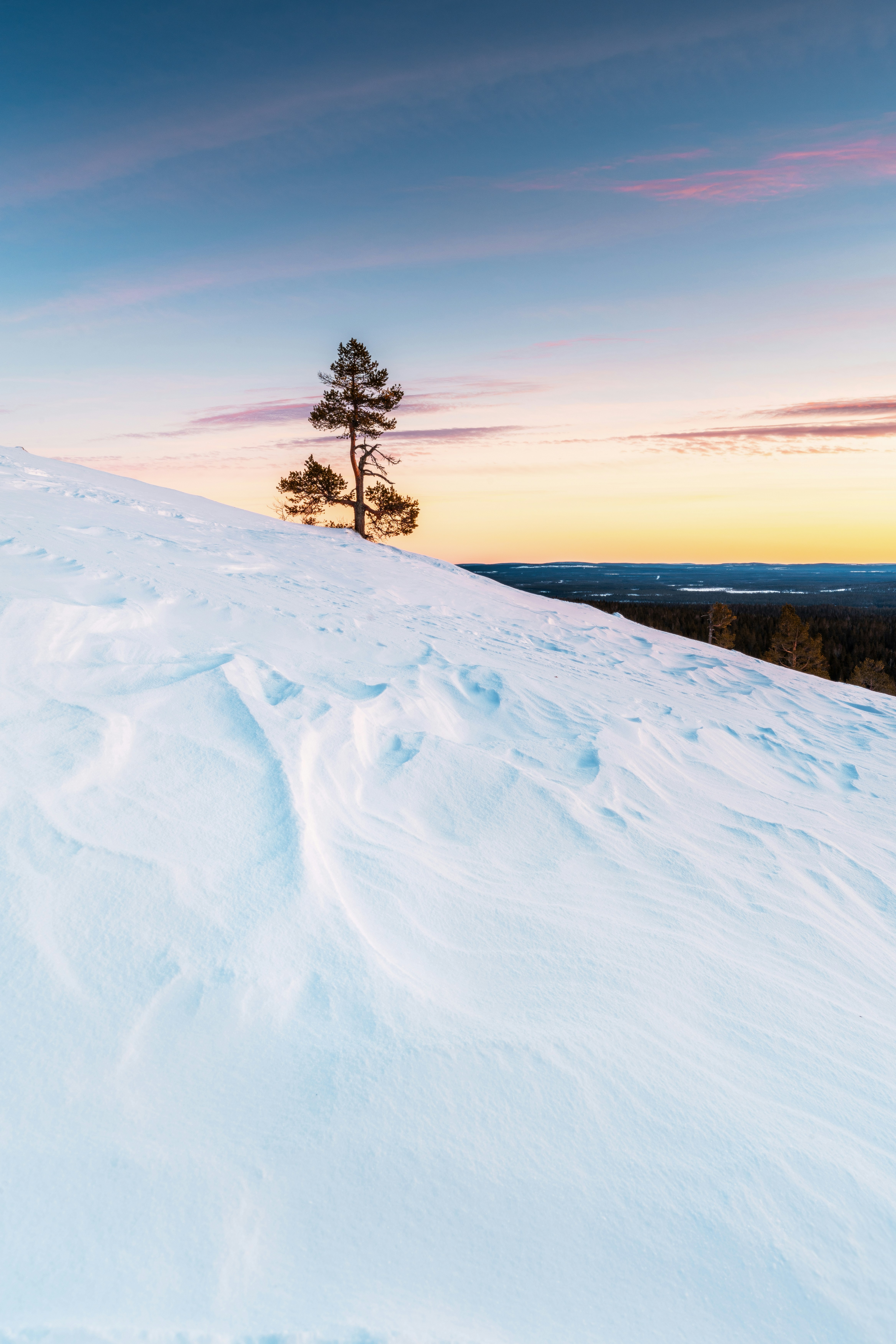 Photo by beckerworks