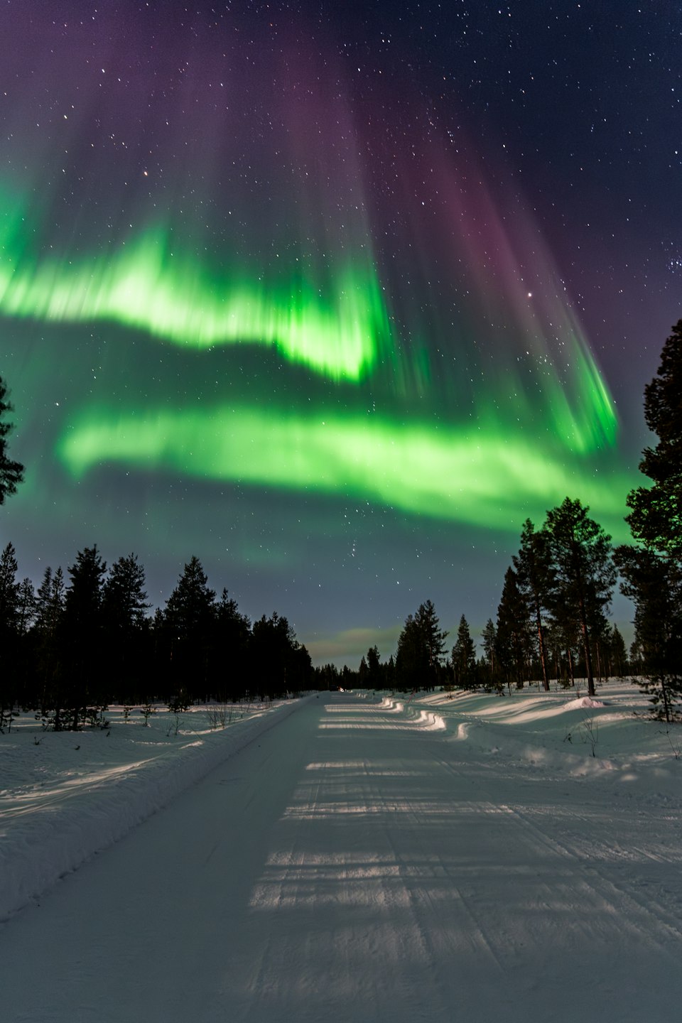 Green and purple aurora borealis over a snowy forest road in Kittila, Finland