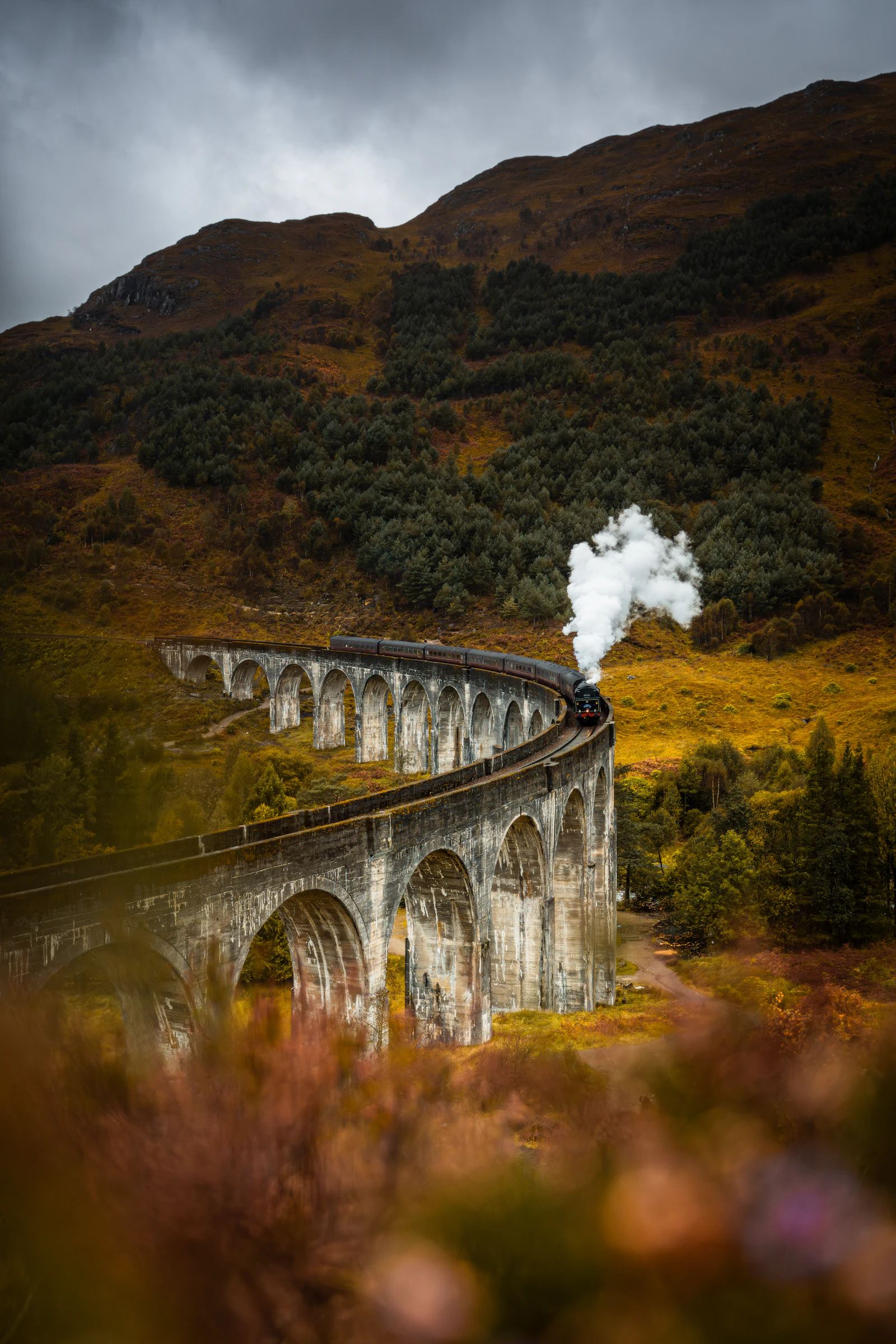 Train à vapeur sur un viaduc de pierre, image d'illustration