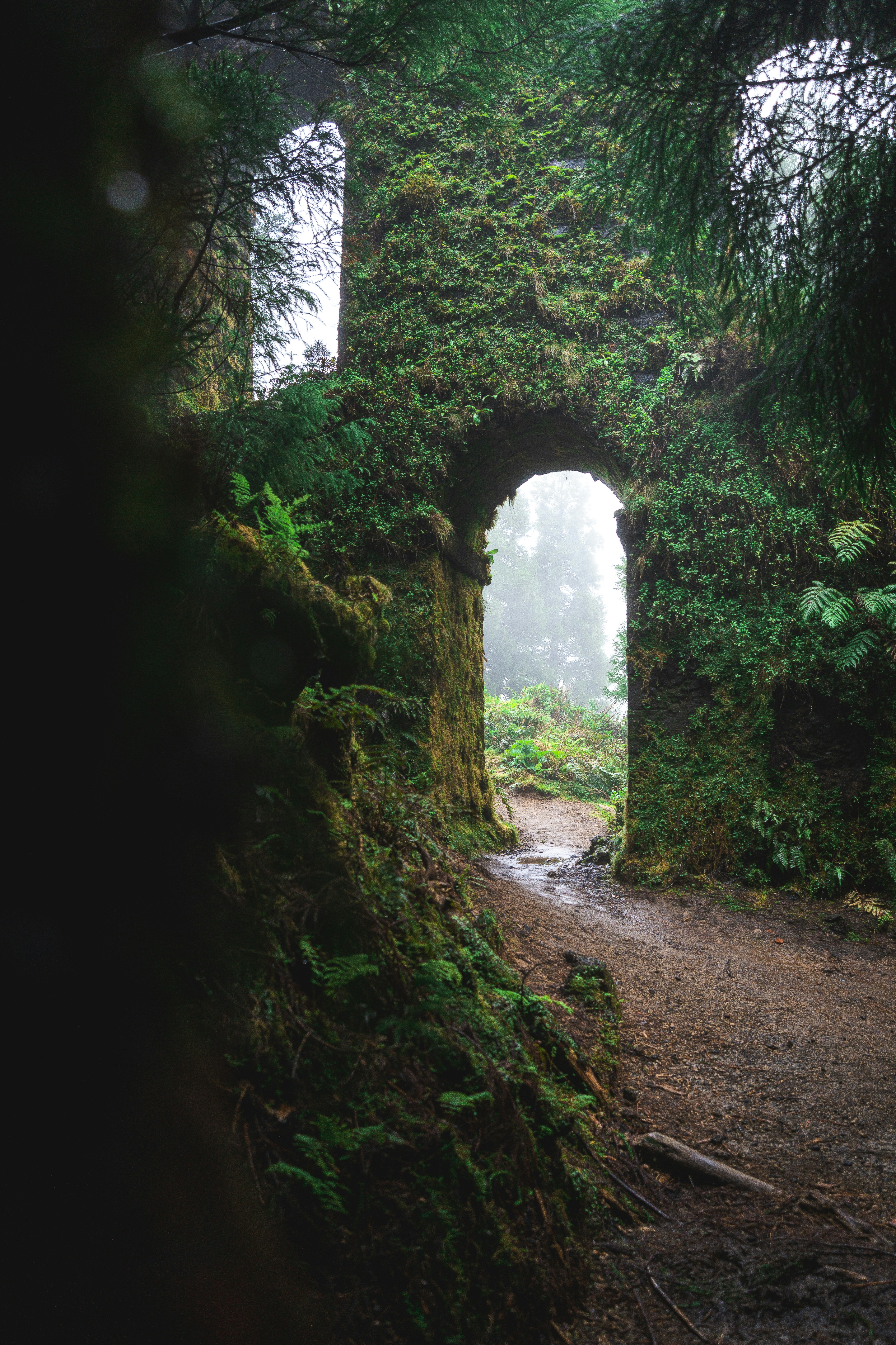 Moss-covered stone archway in a misty forest