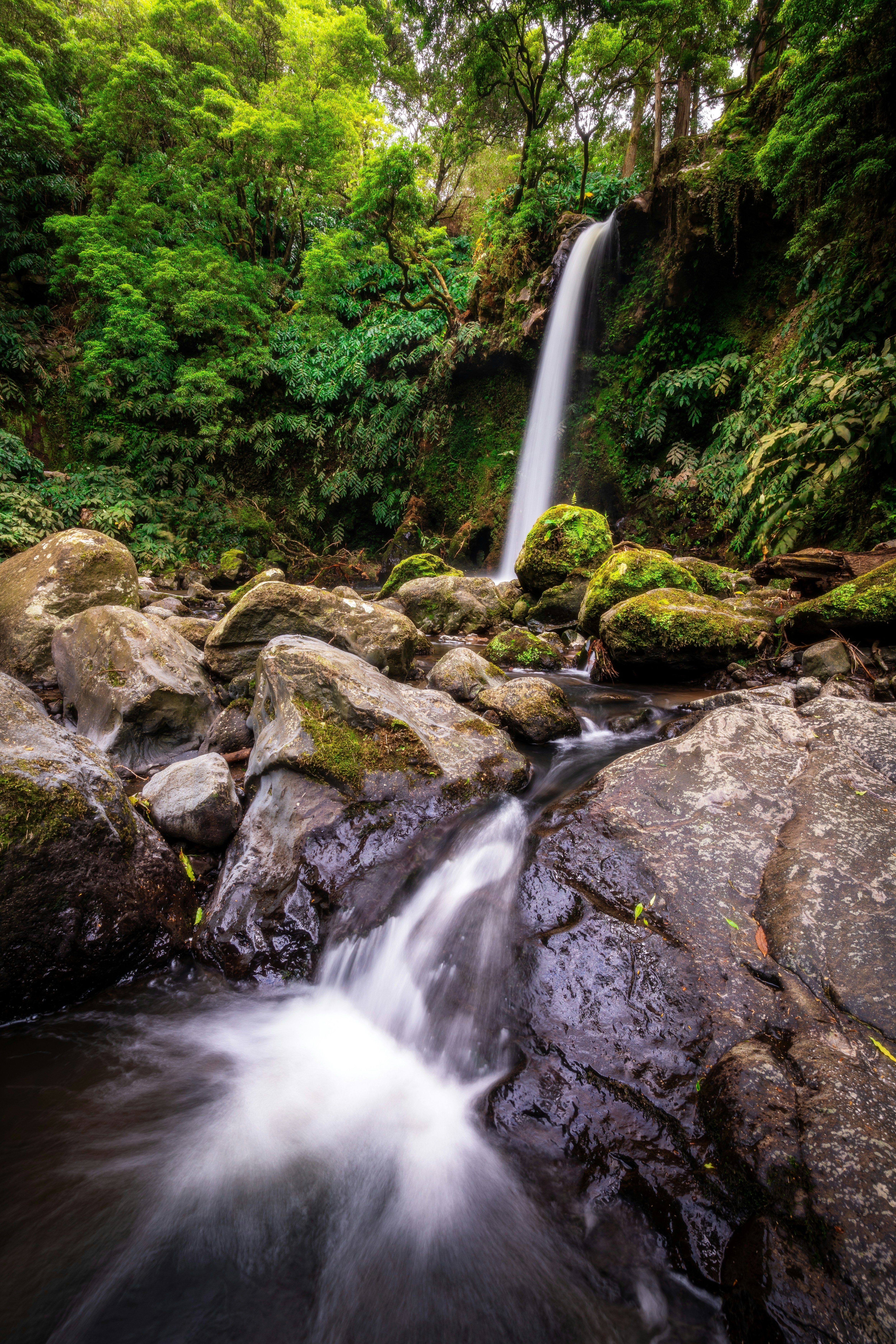 Photo by beckerworks