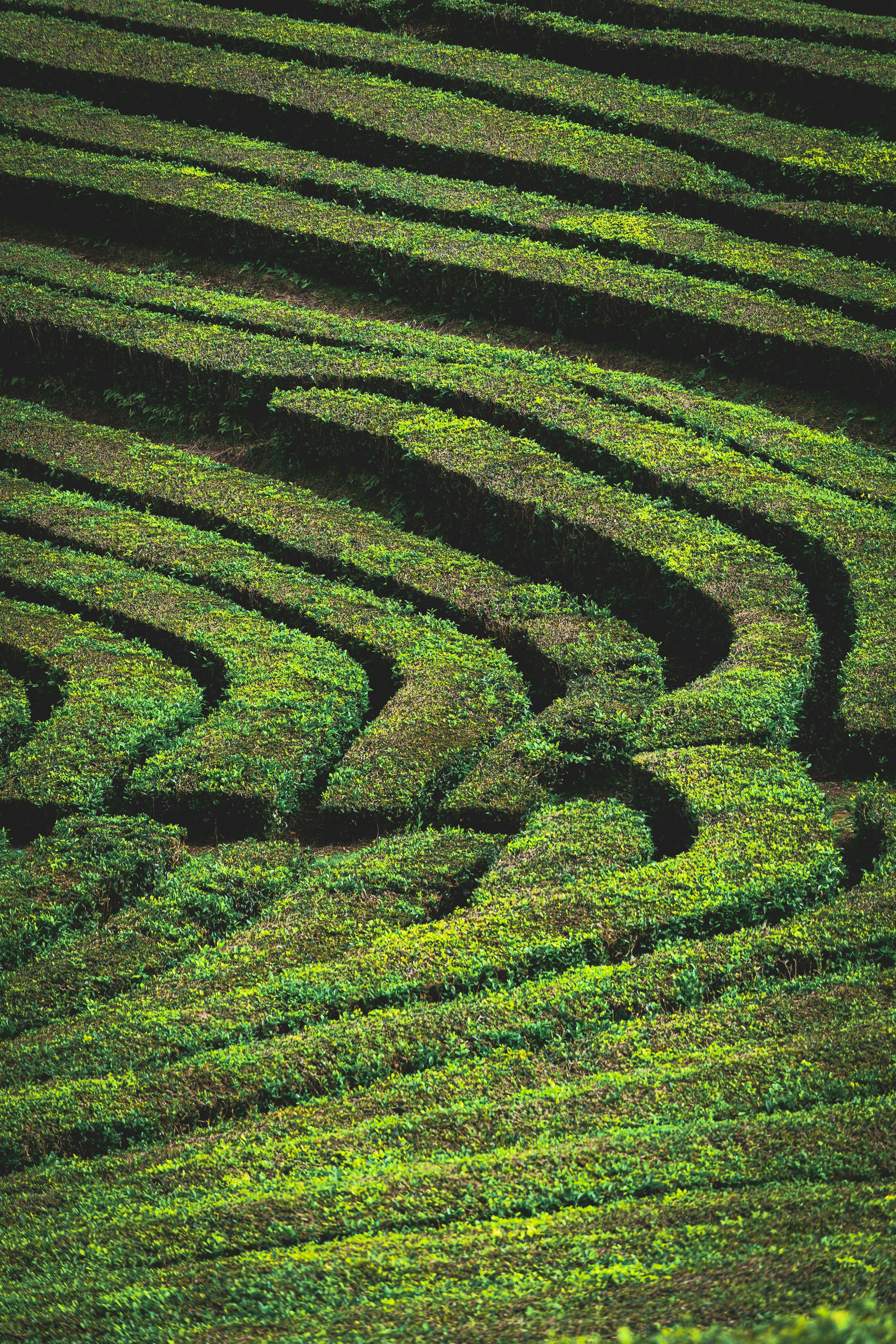 Photo by beckerworks