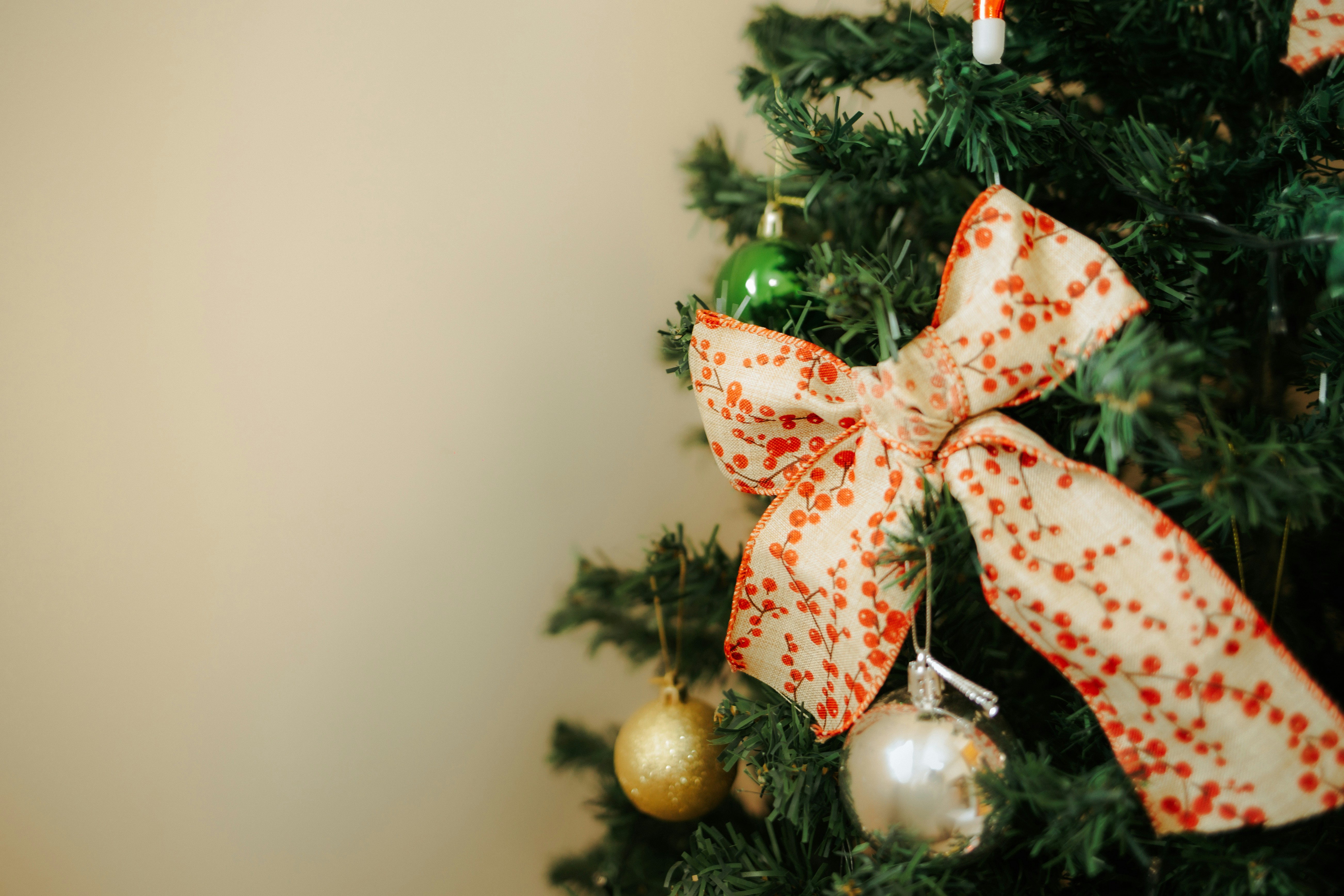 Photo by lauraaoliveira