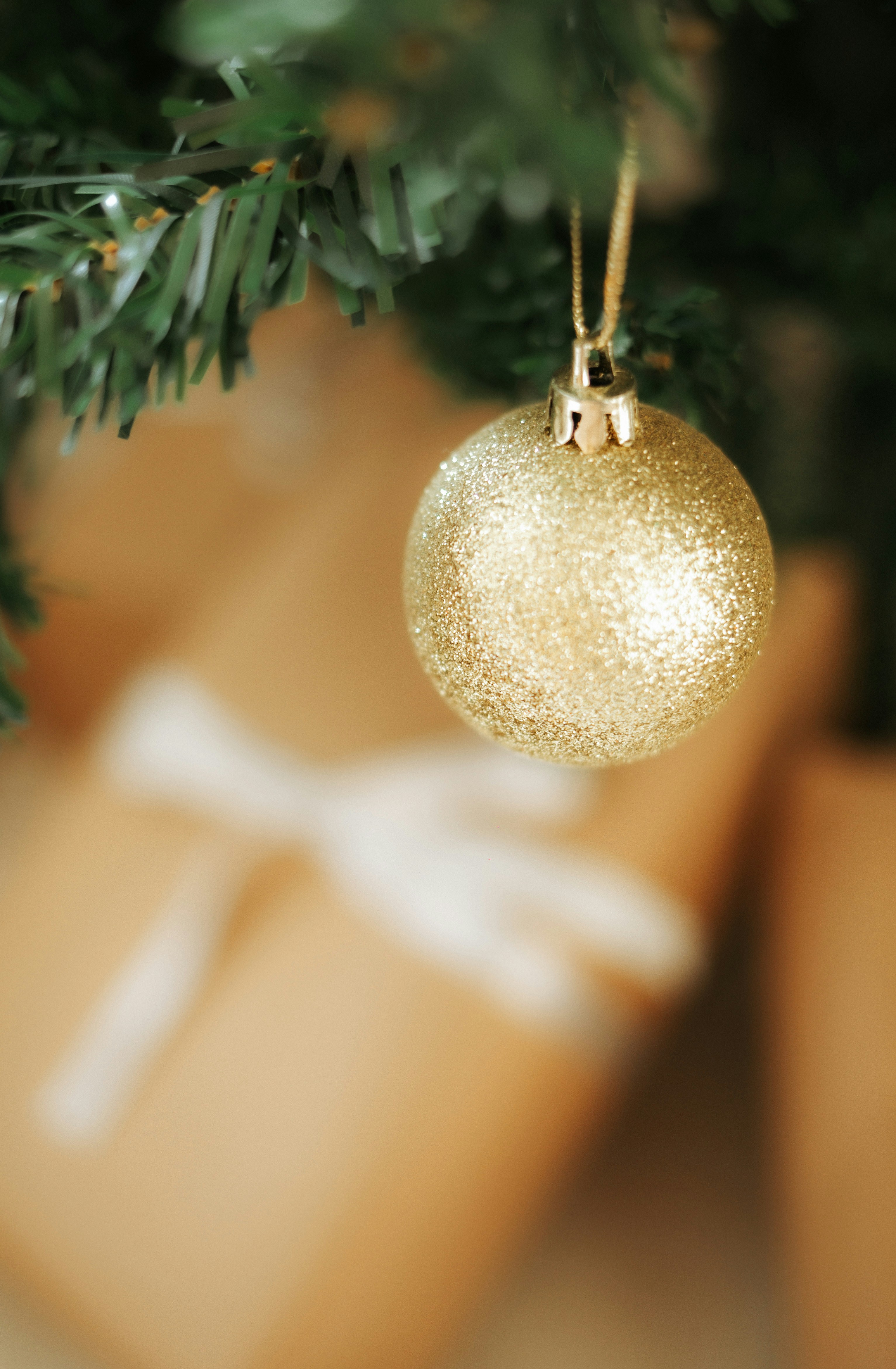 Photo by lauraaoliveira