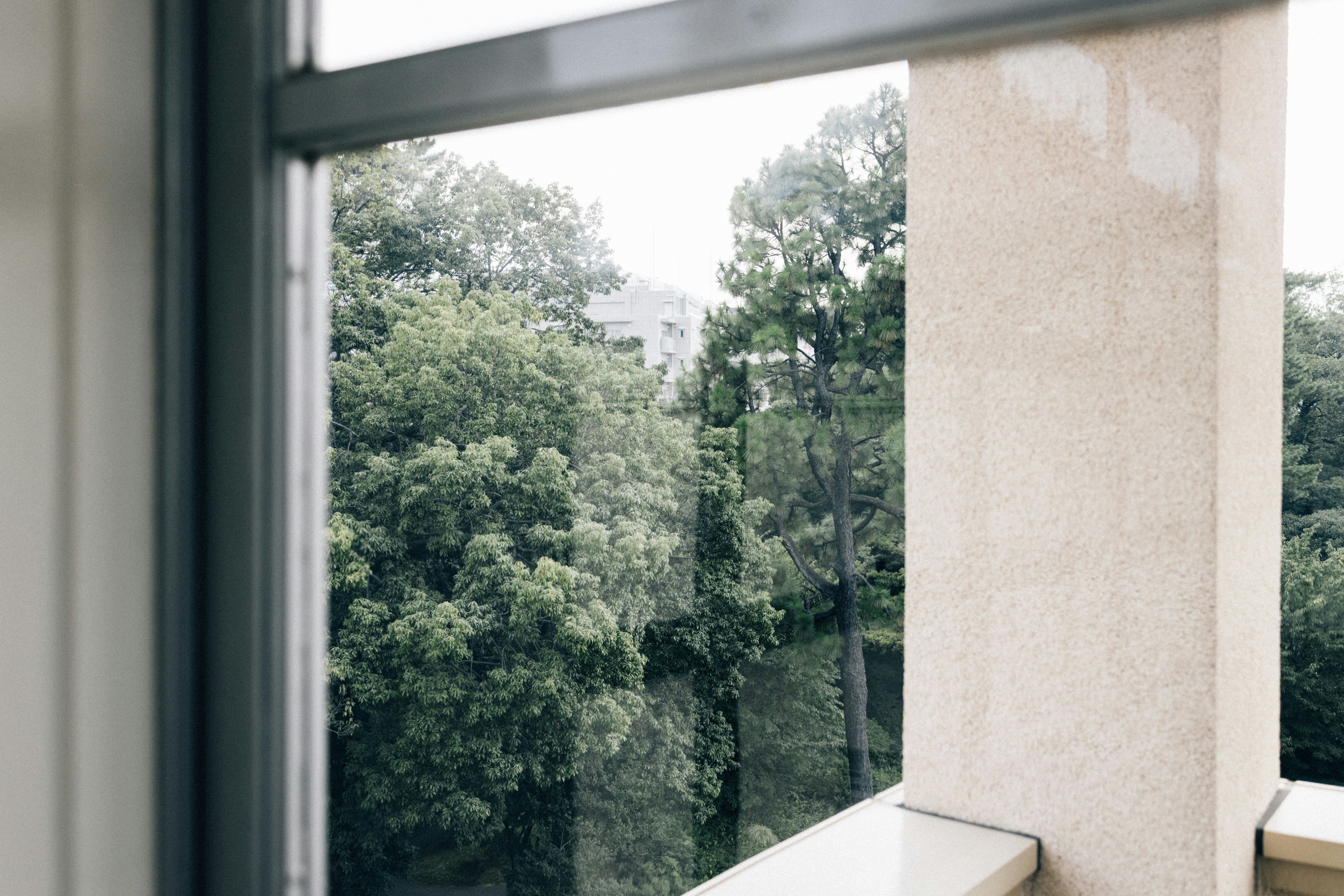 Photo by tsuyoshikozu