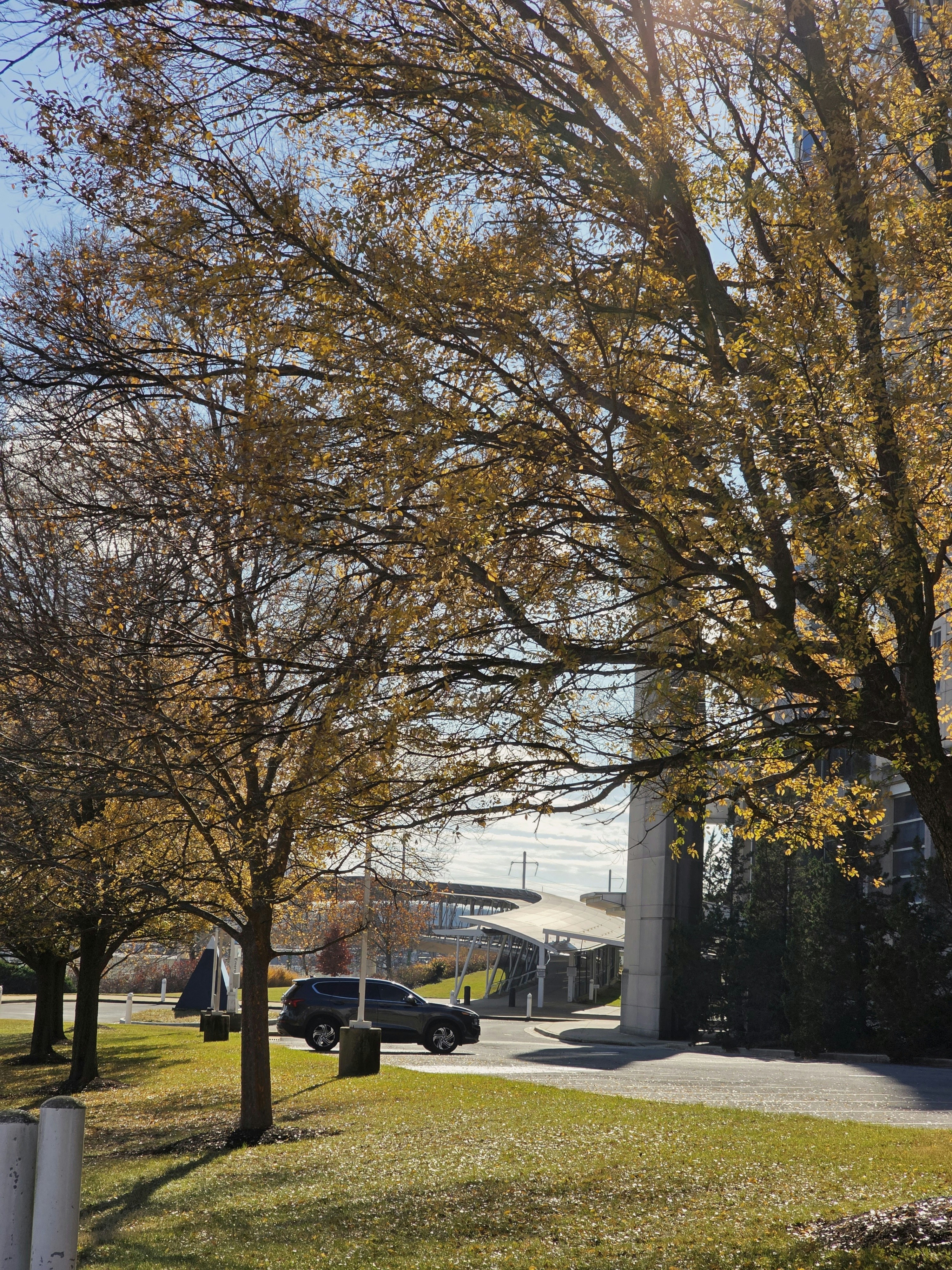 Photo by little_magical_moments