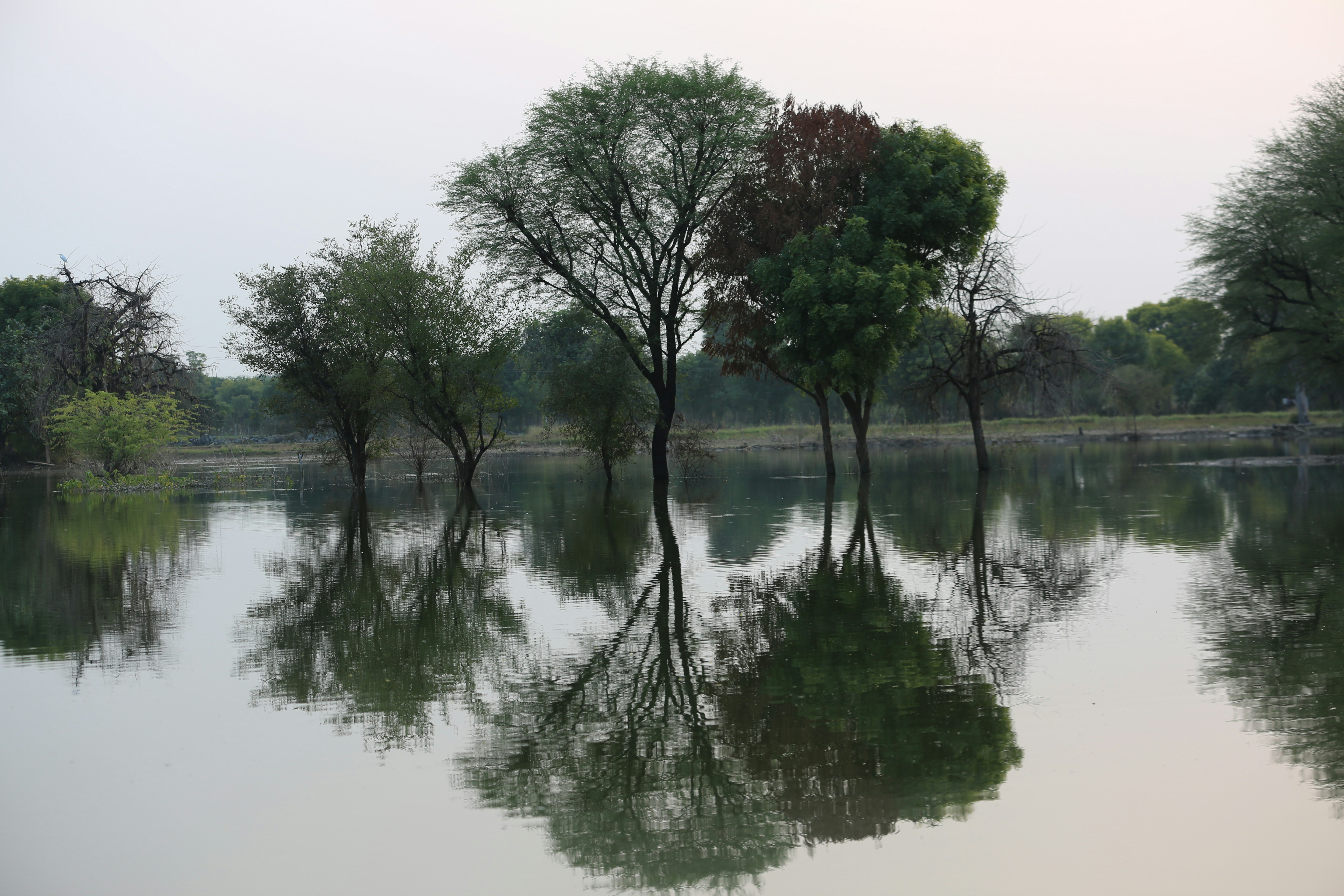 Photo by arjunbaroi365