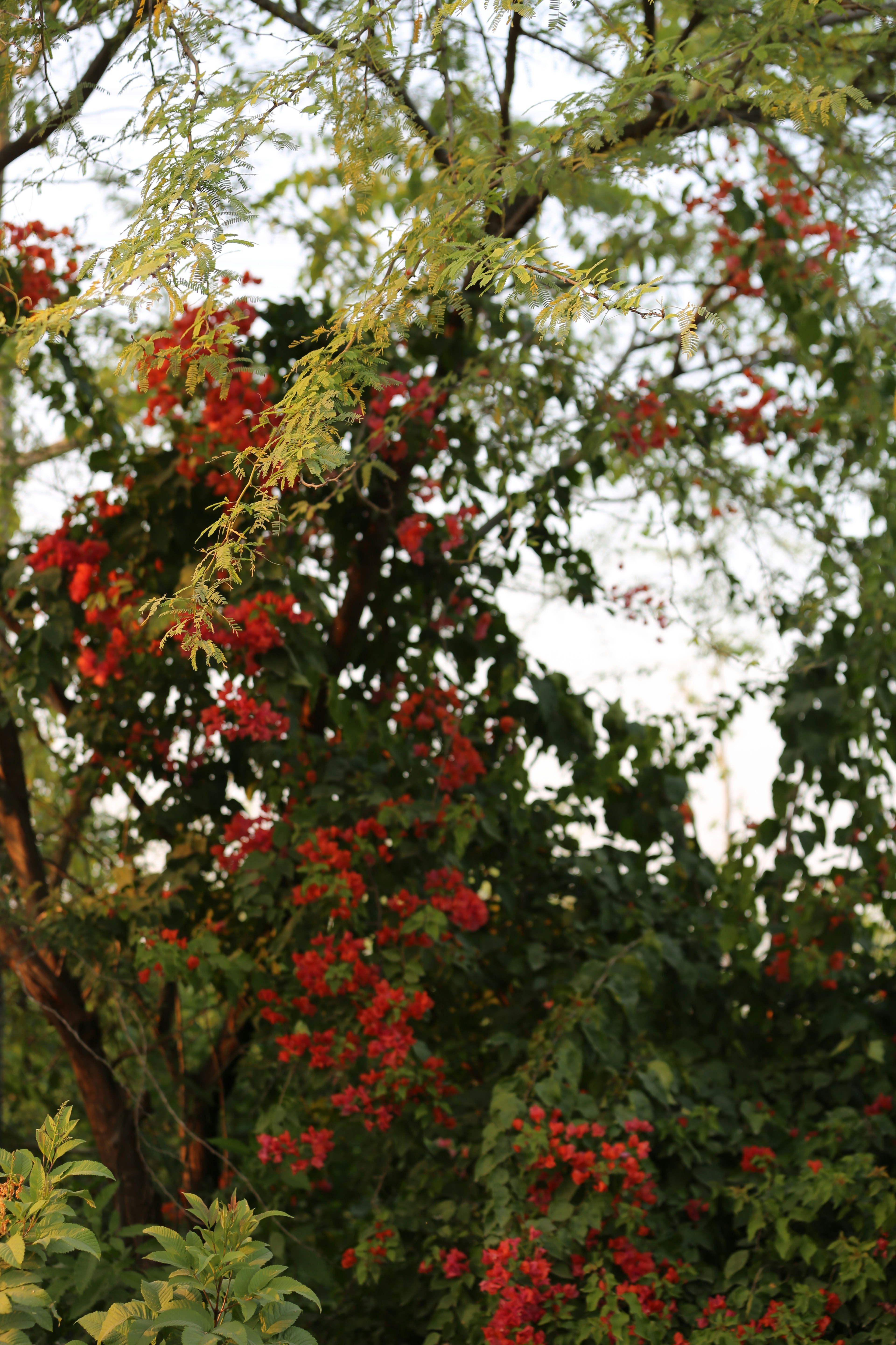 Photo by arjunbaroi365