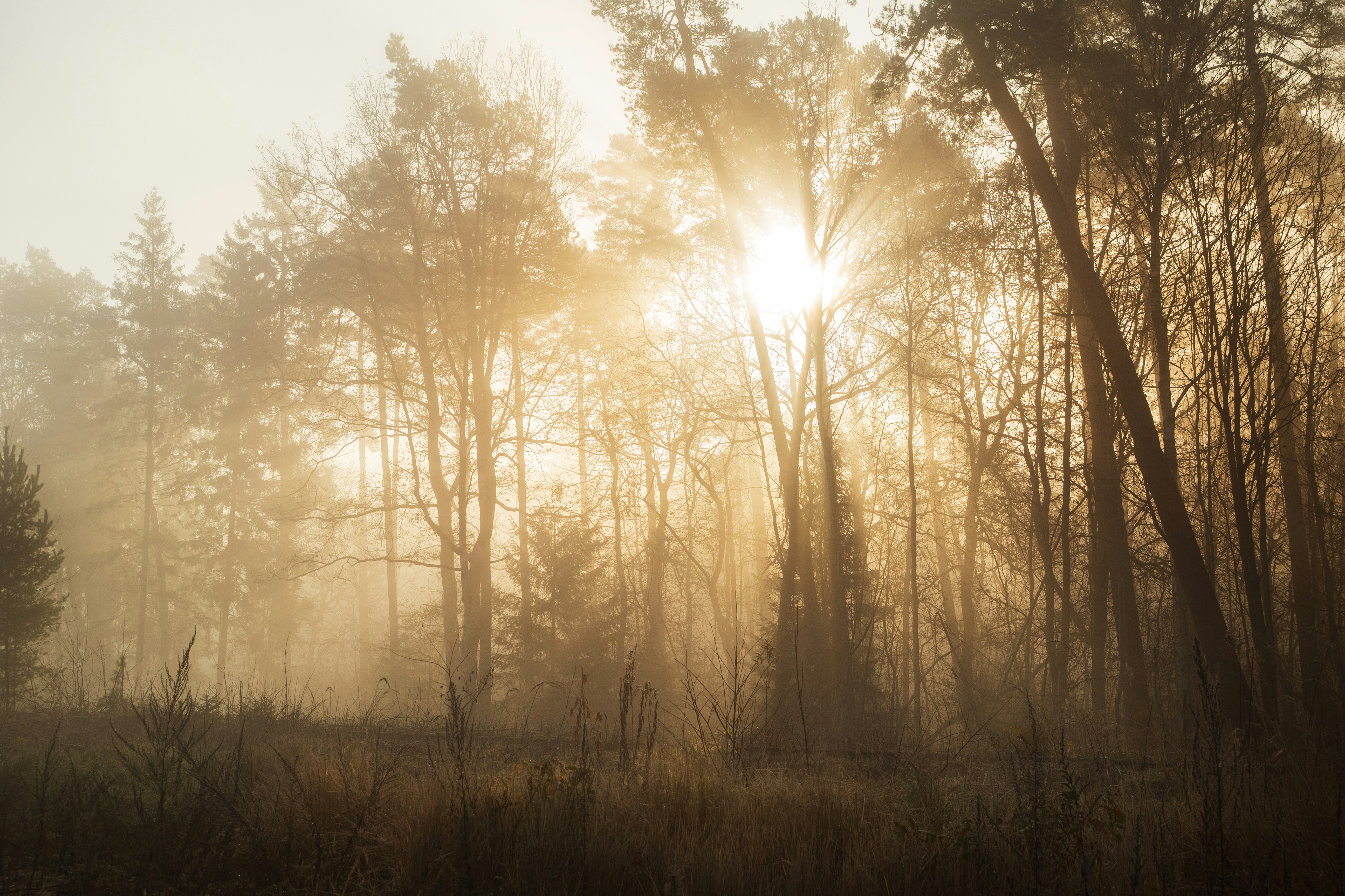 Photo by pascalvendel