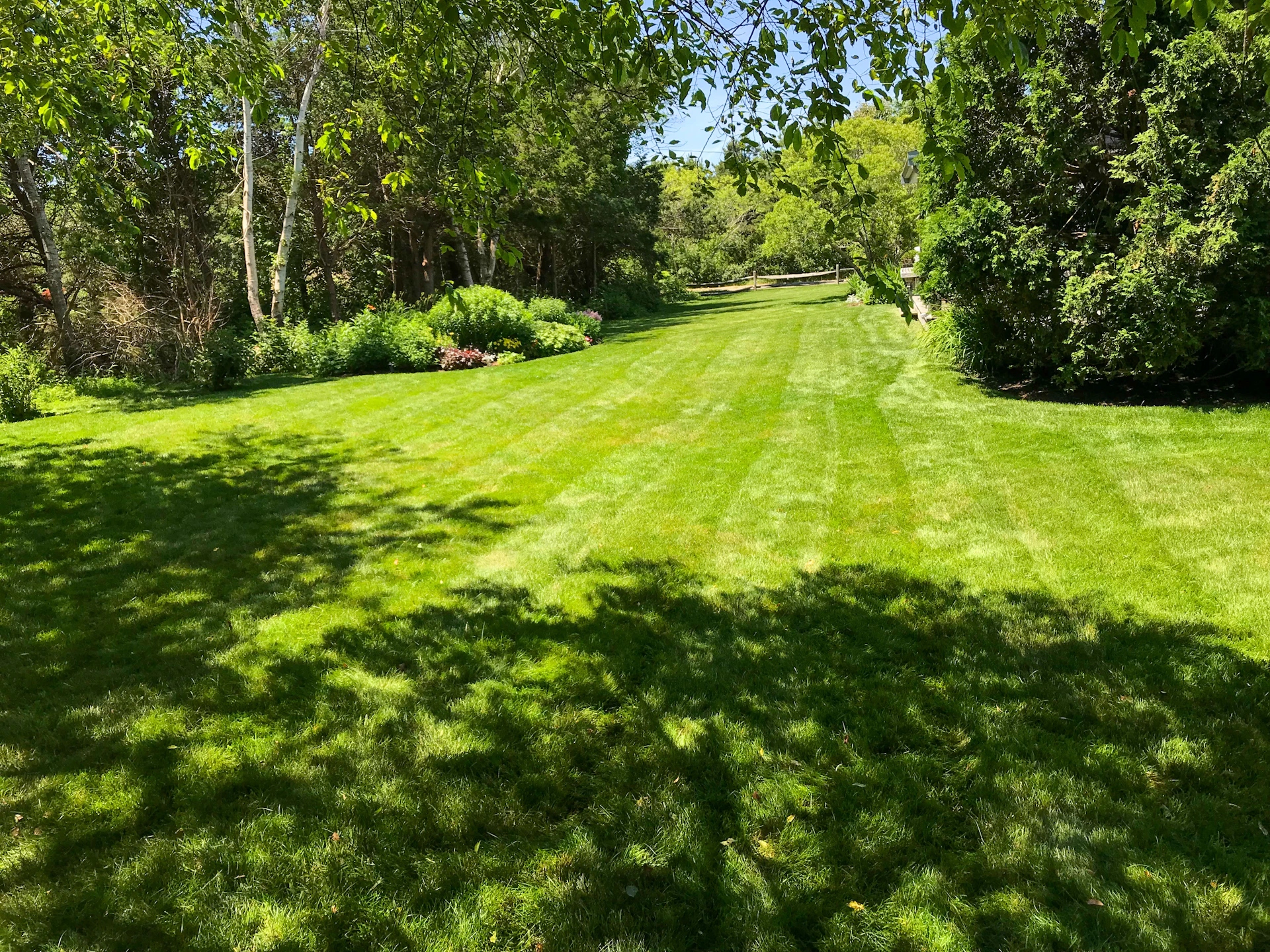Freshly mowed lawn with crisp stripes bordered by garden beds