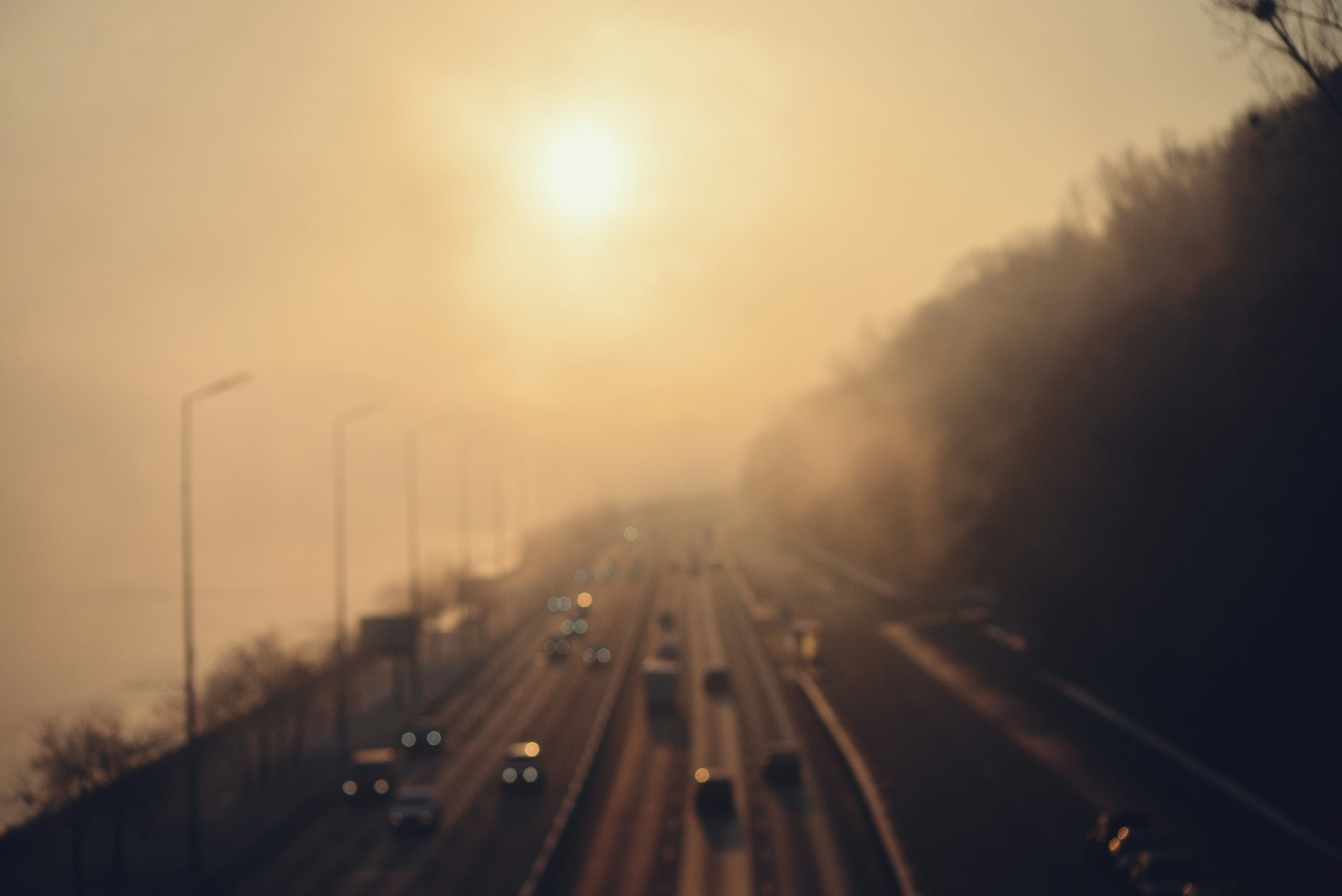 Photo by cherstve_pechivo