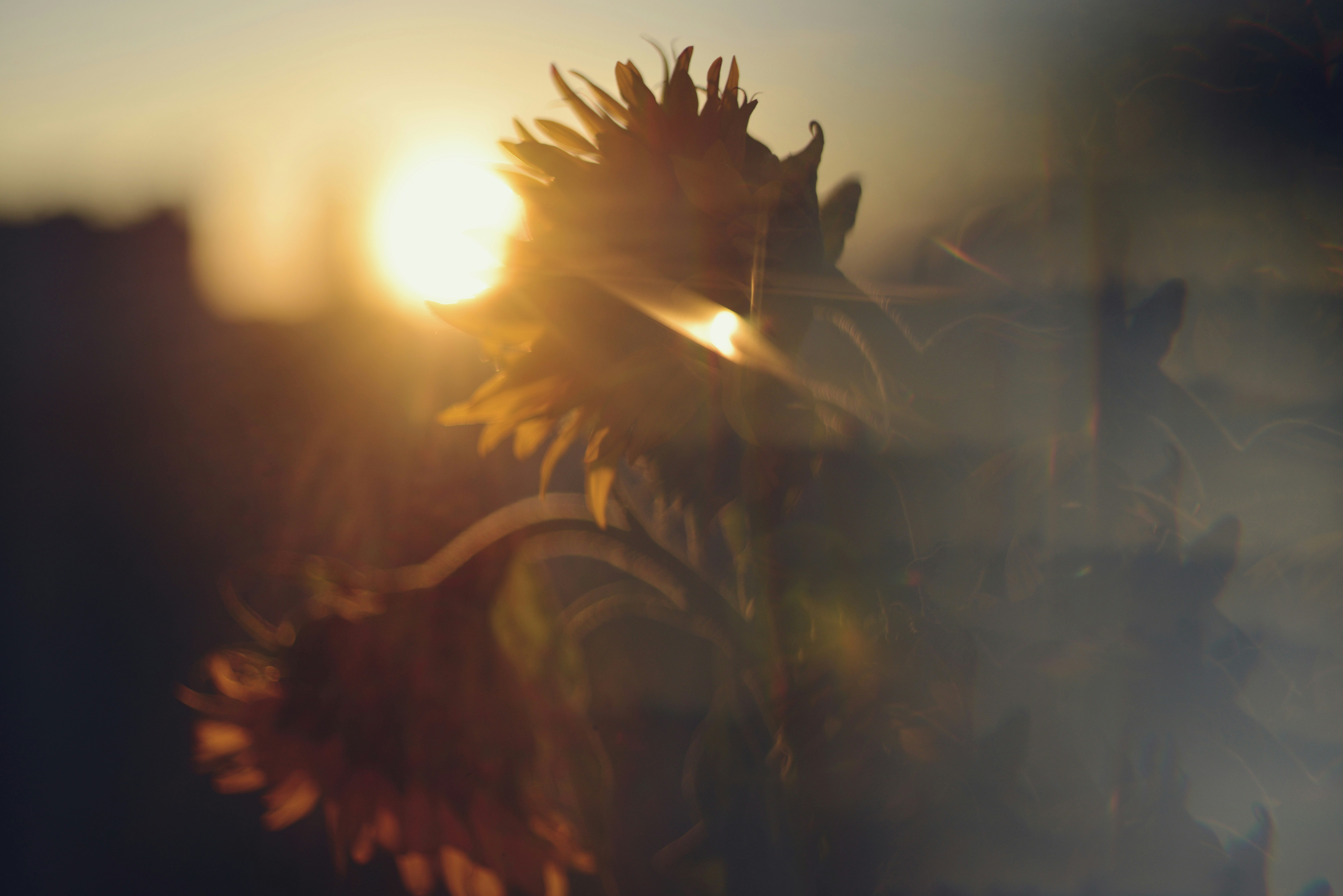 Photo by cherstve_pechivo