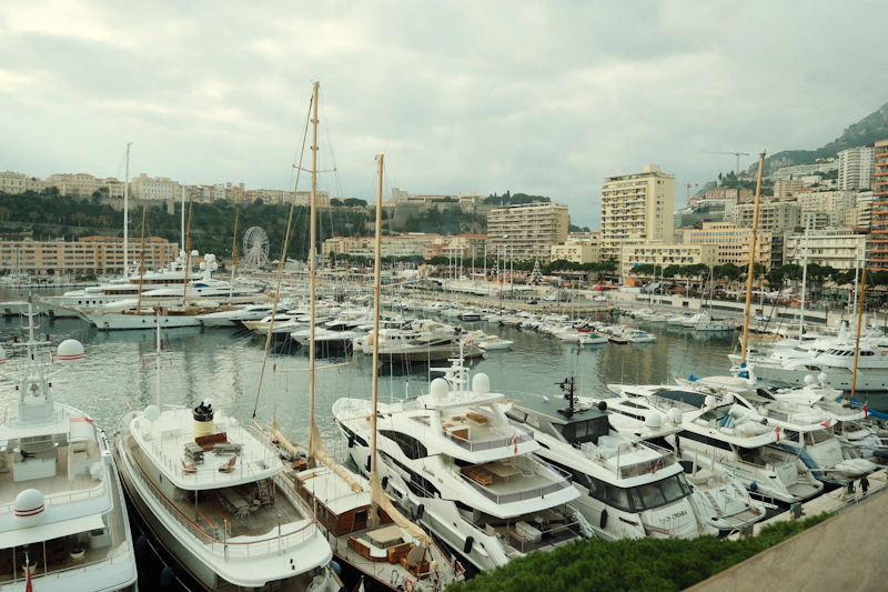 Many yachts docked in a harbor with city buildings.