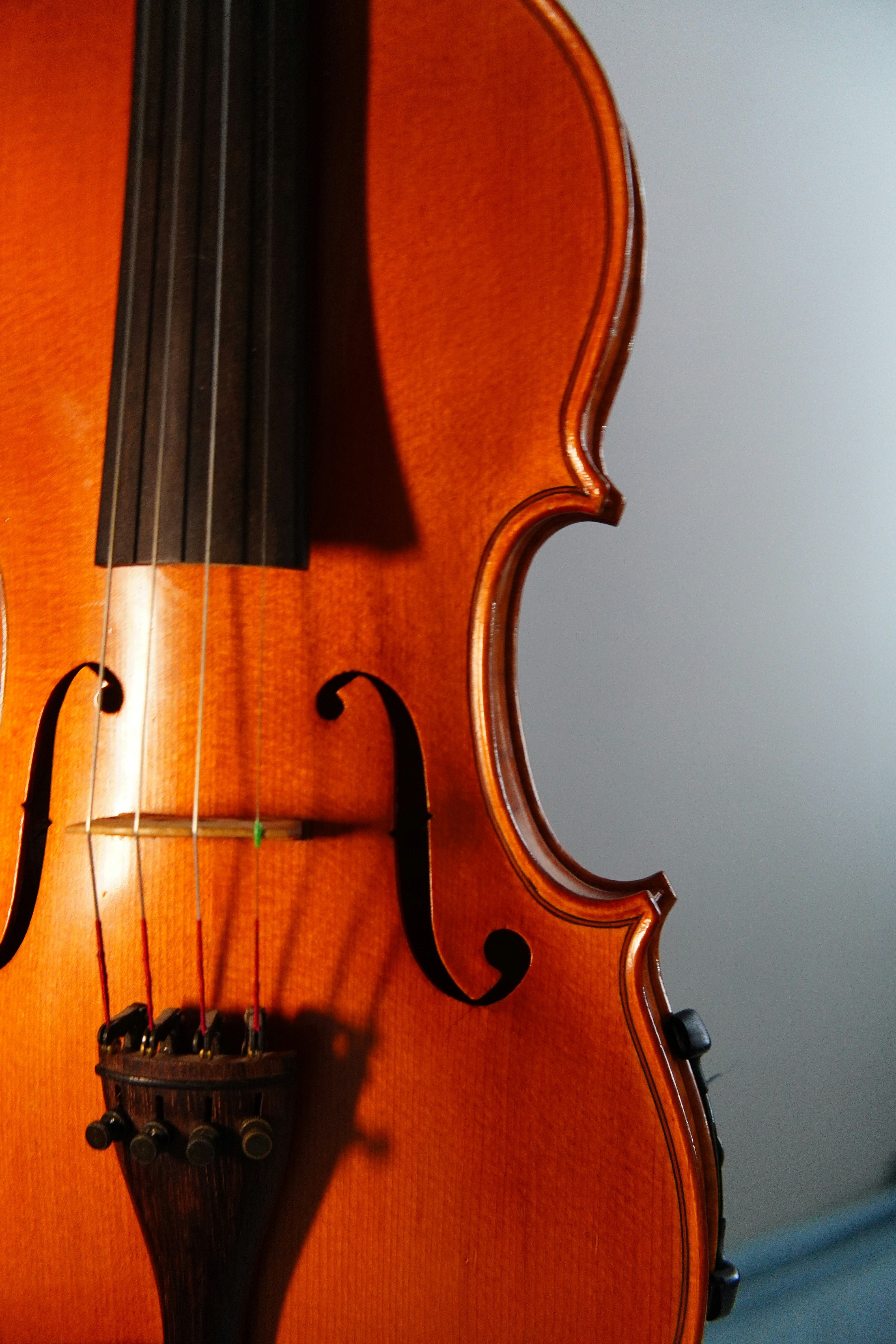 Close-up of a wooden violin with strings and strings.