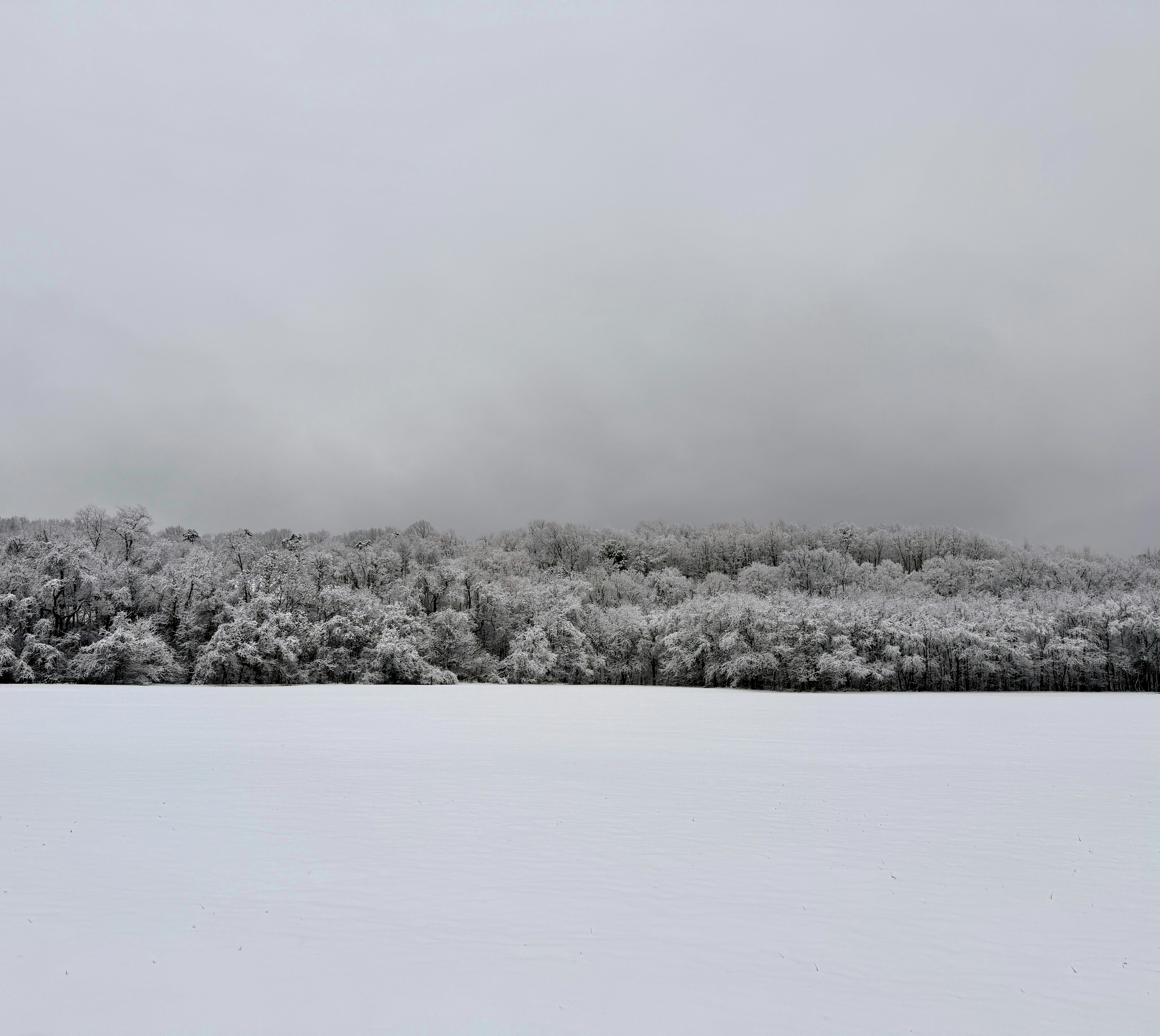 Photo by adialinkous