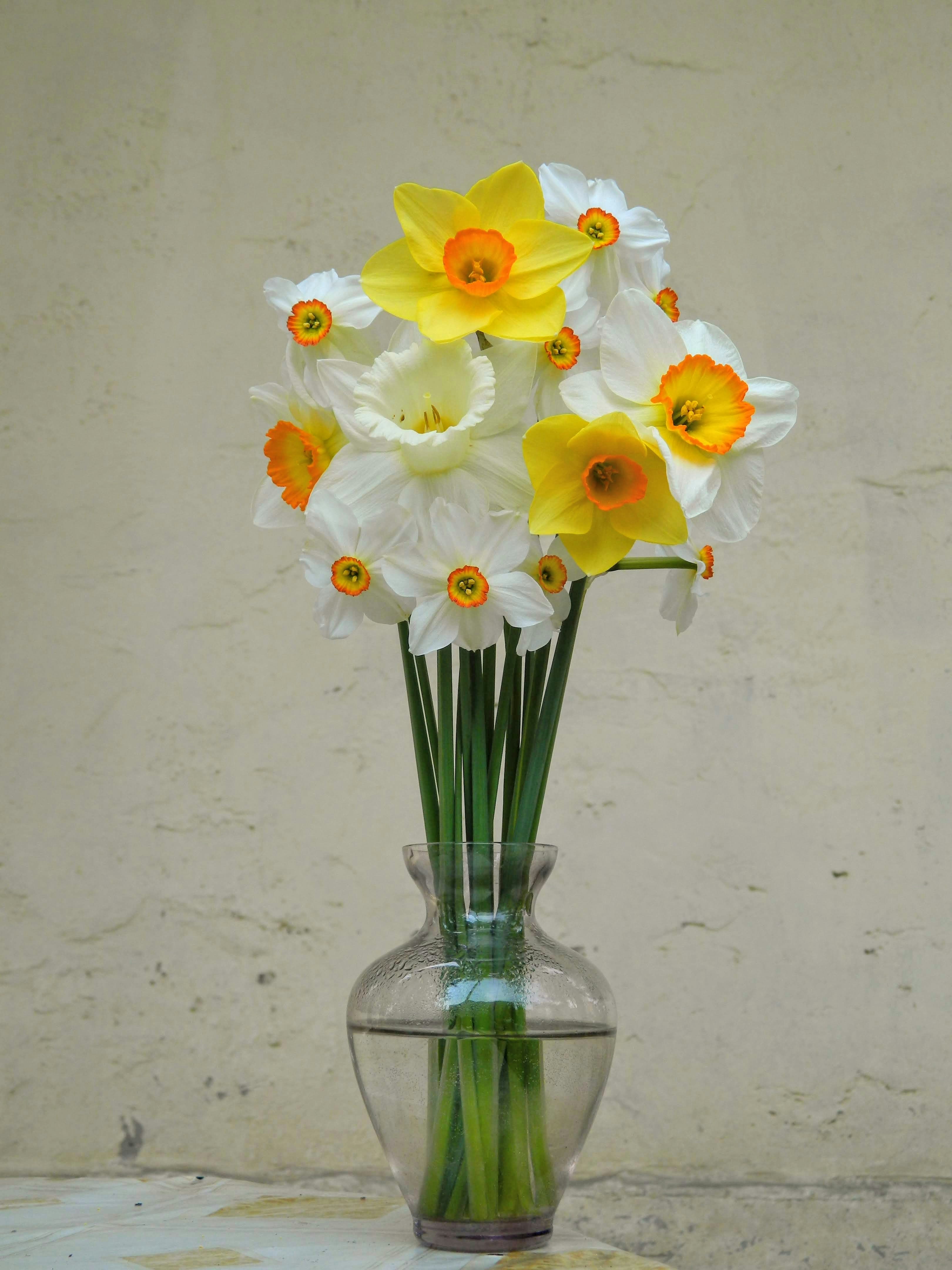 Photo by madishradish