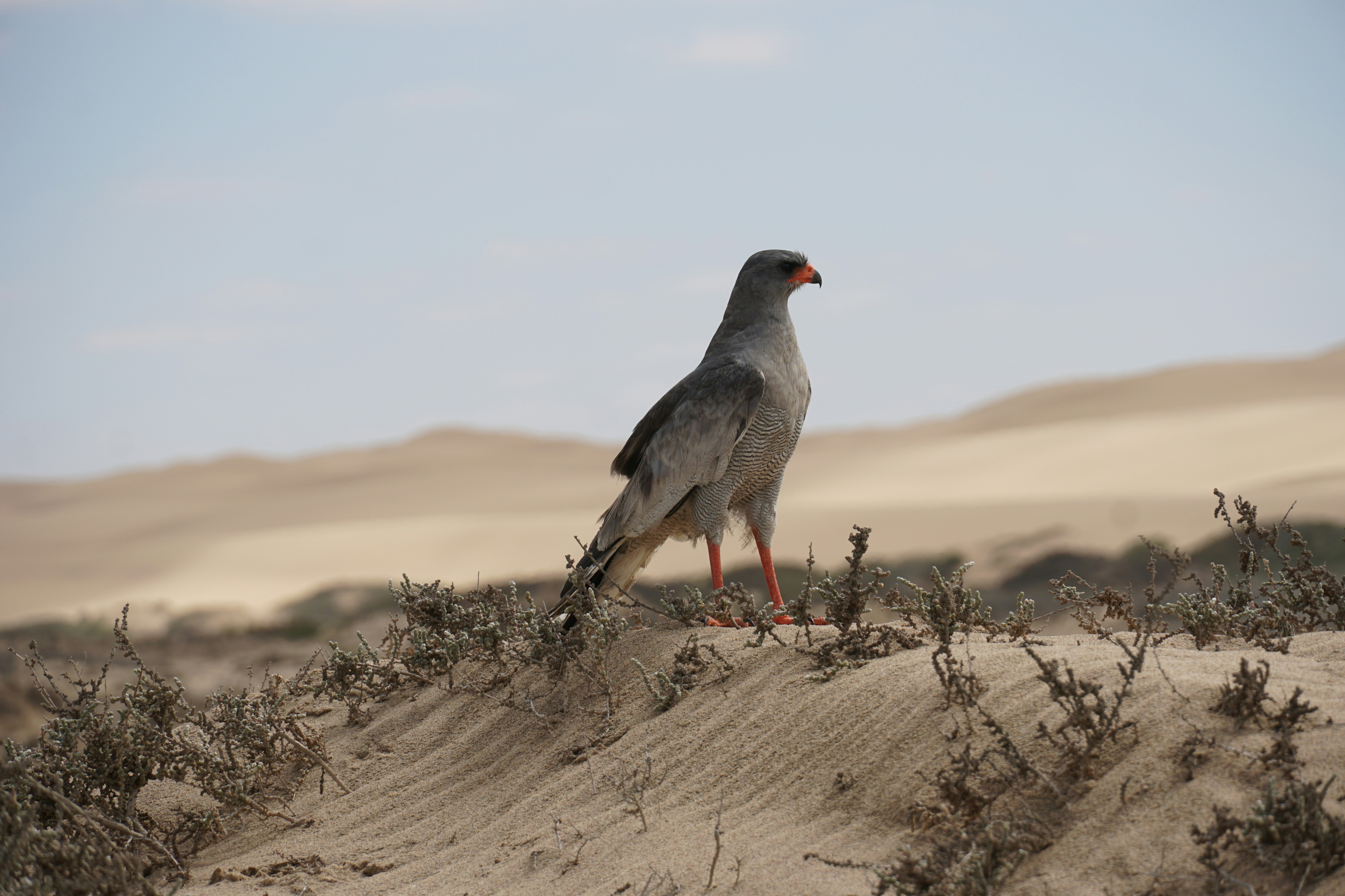 Photo by qld_traveller