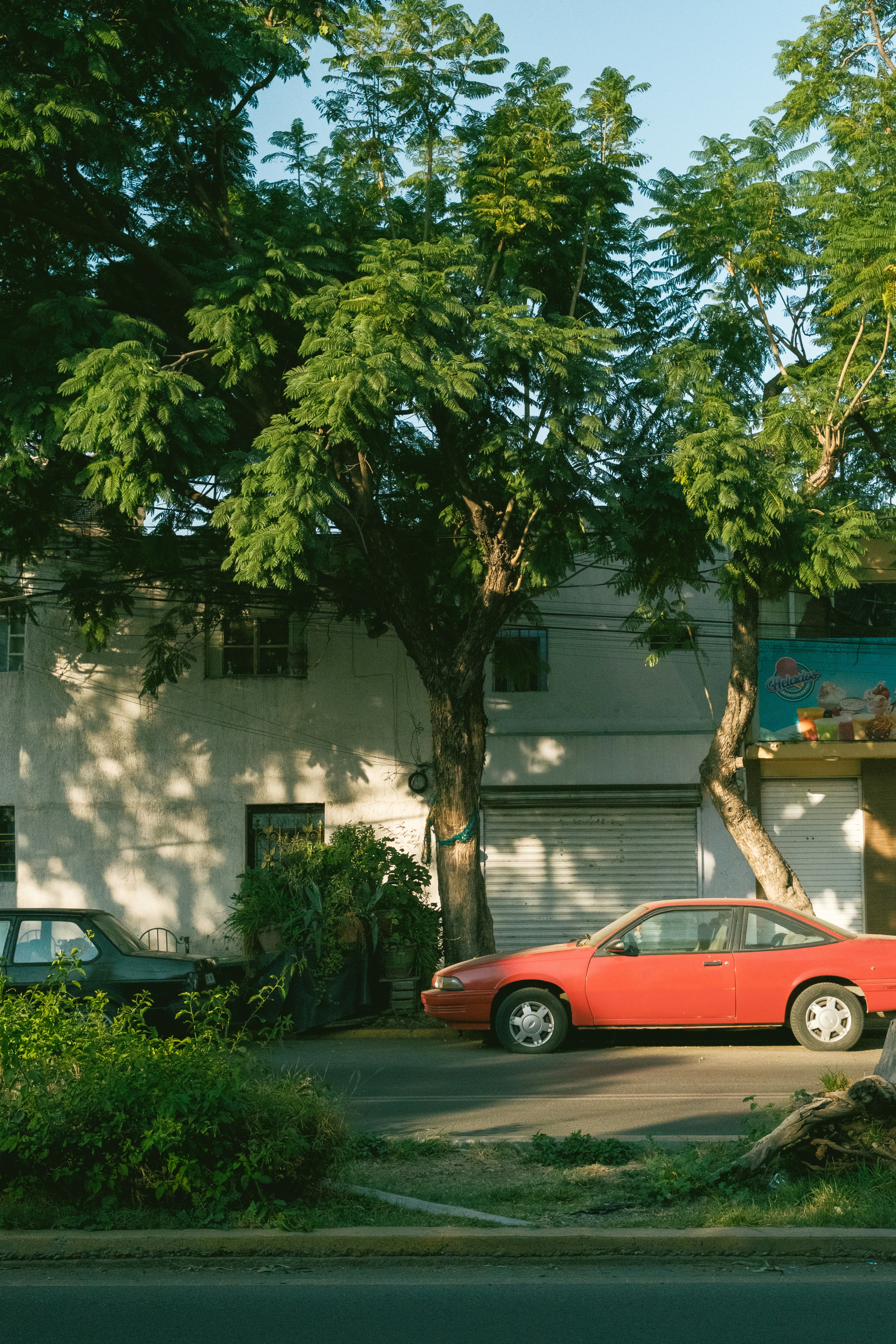 Photo by alex_quezada