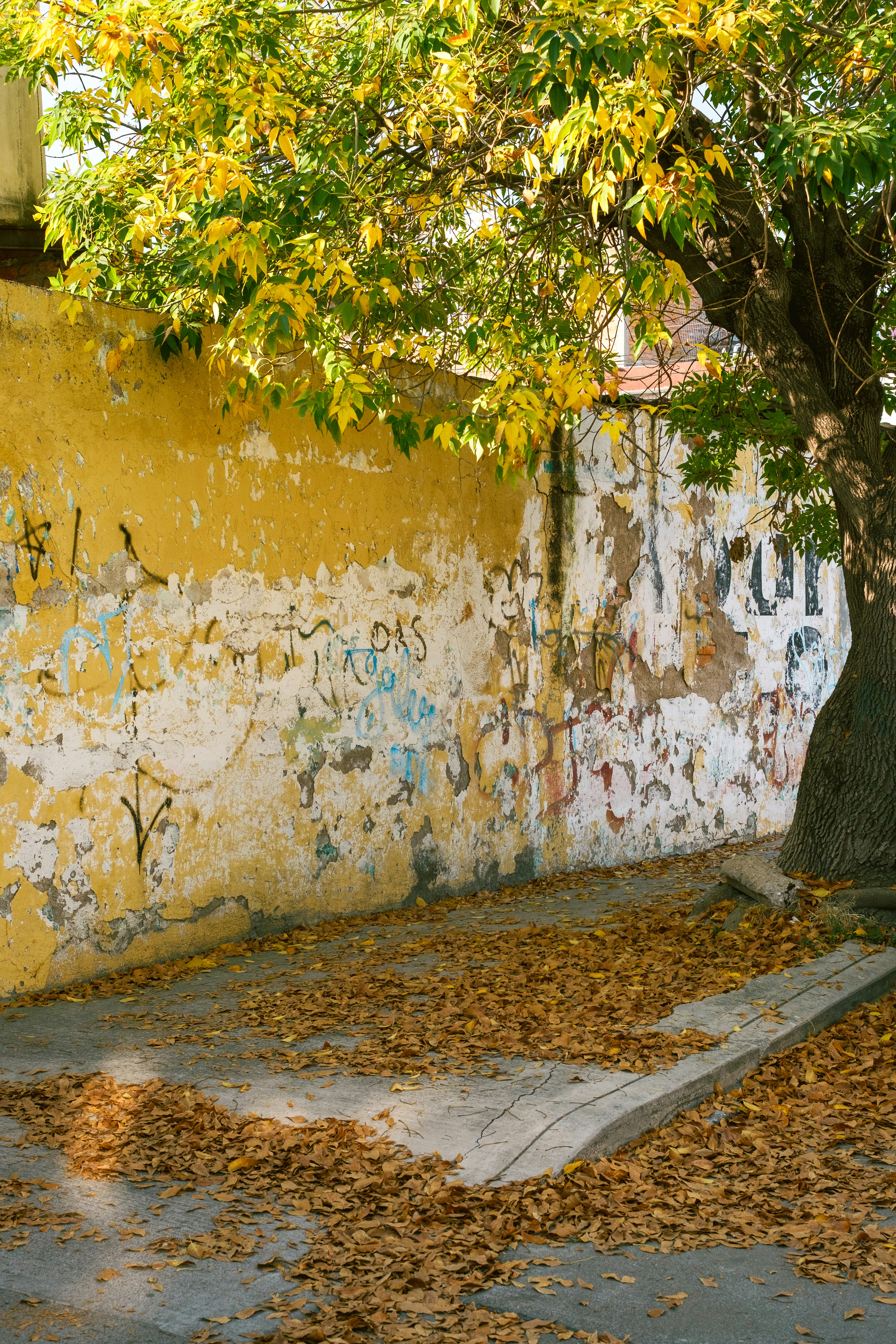 Photo by alex_quezada