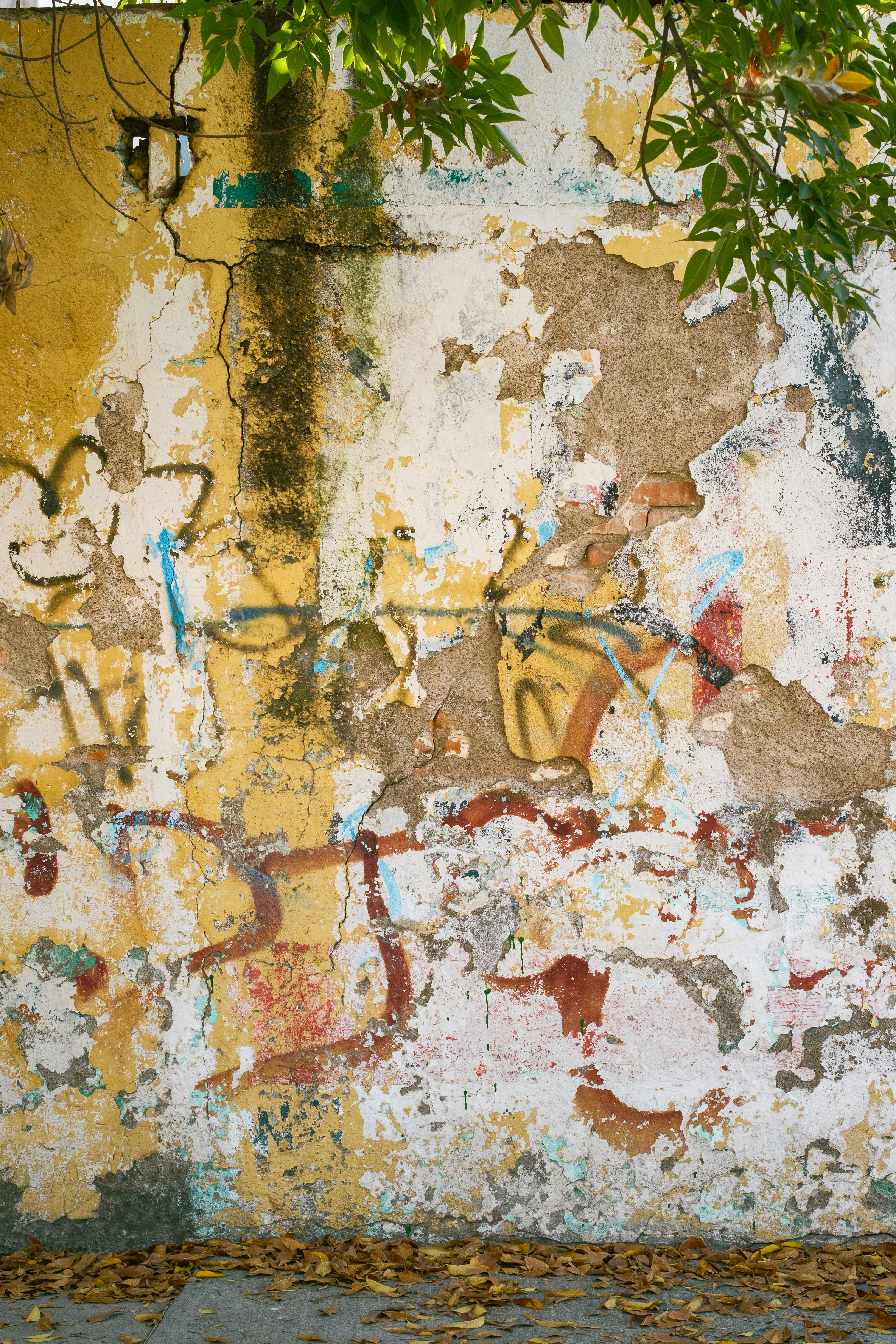 Photo by alex_quezada