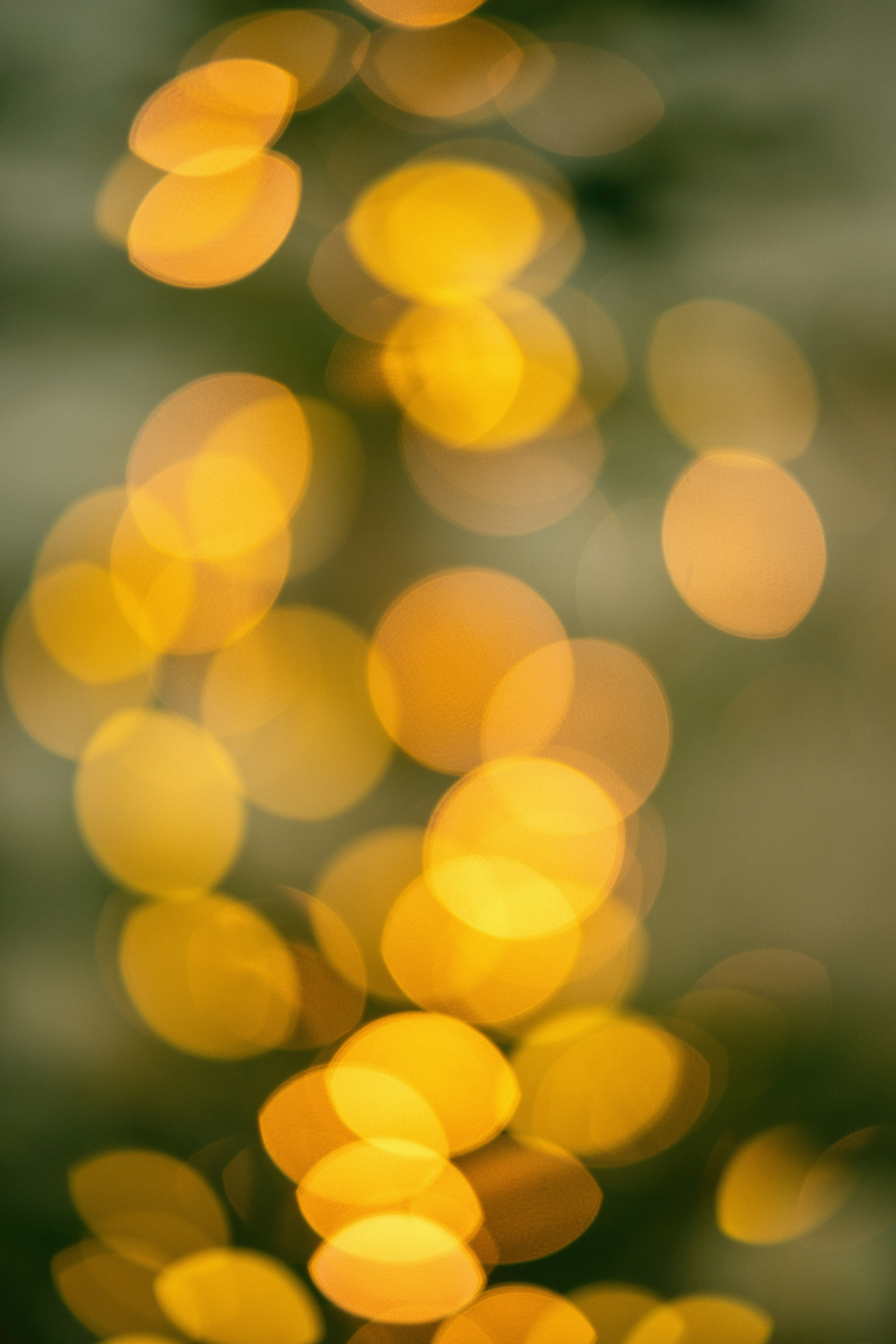 Photo by alex_quezada