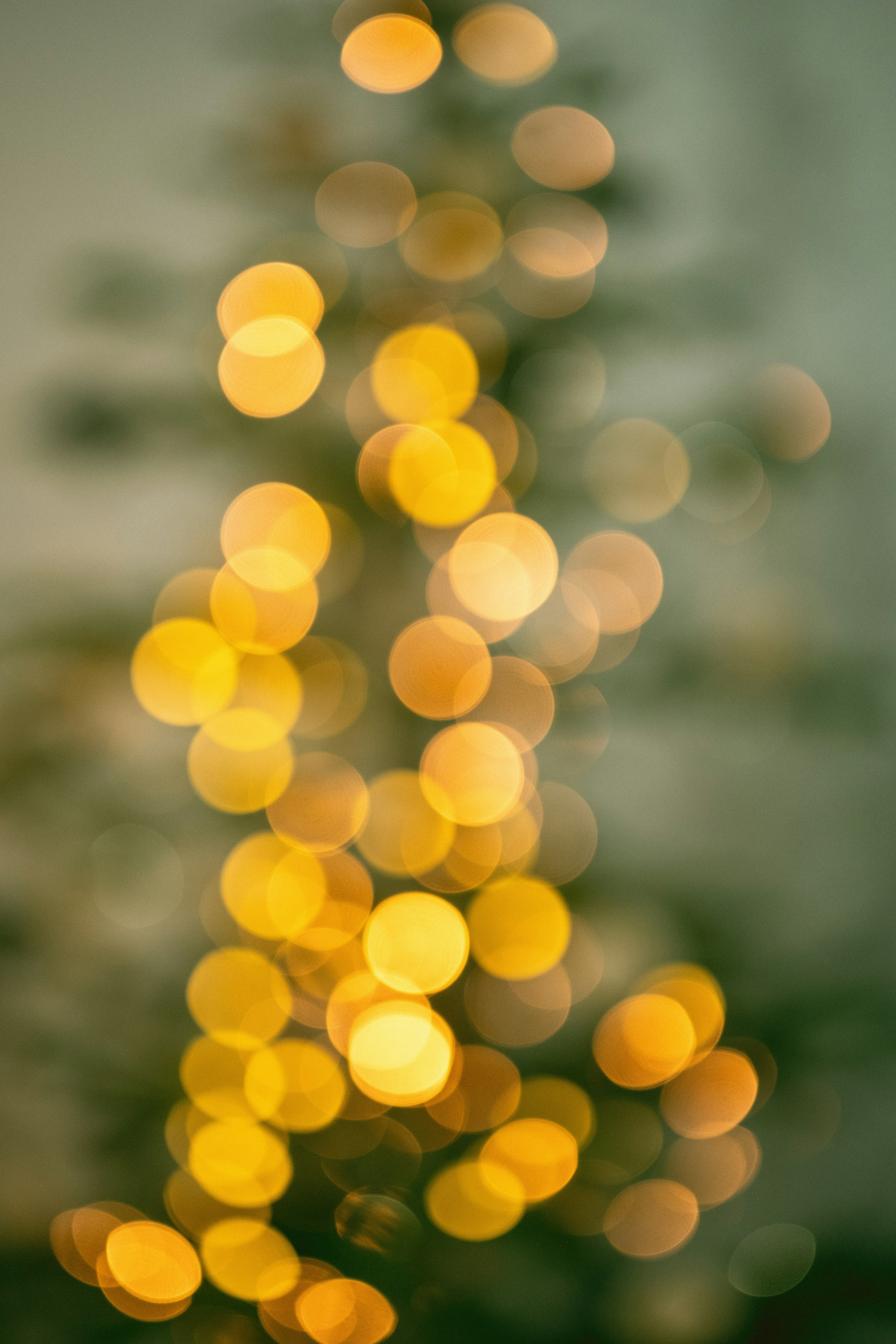 Photo by alex_quezada