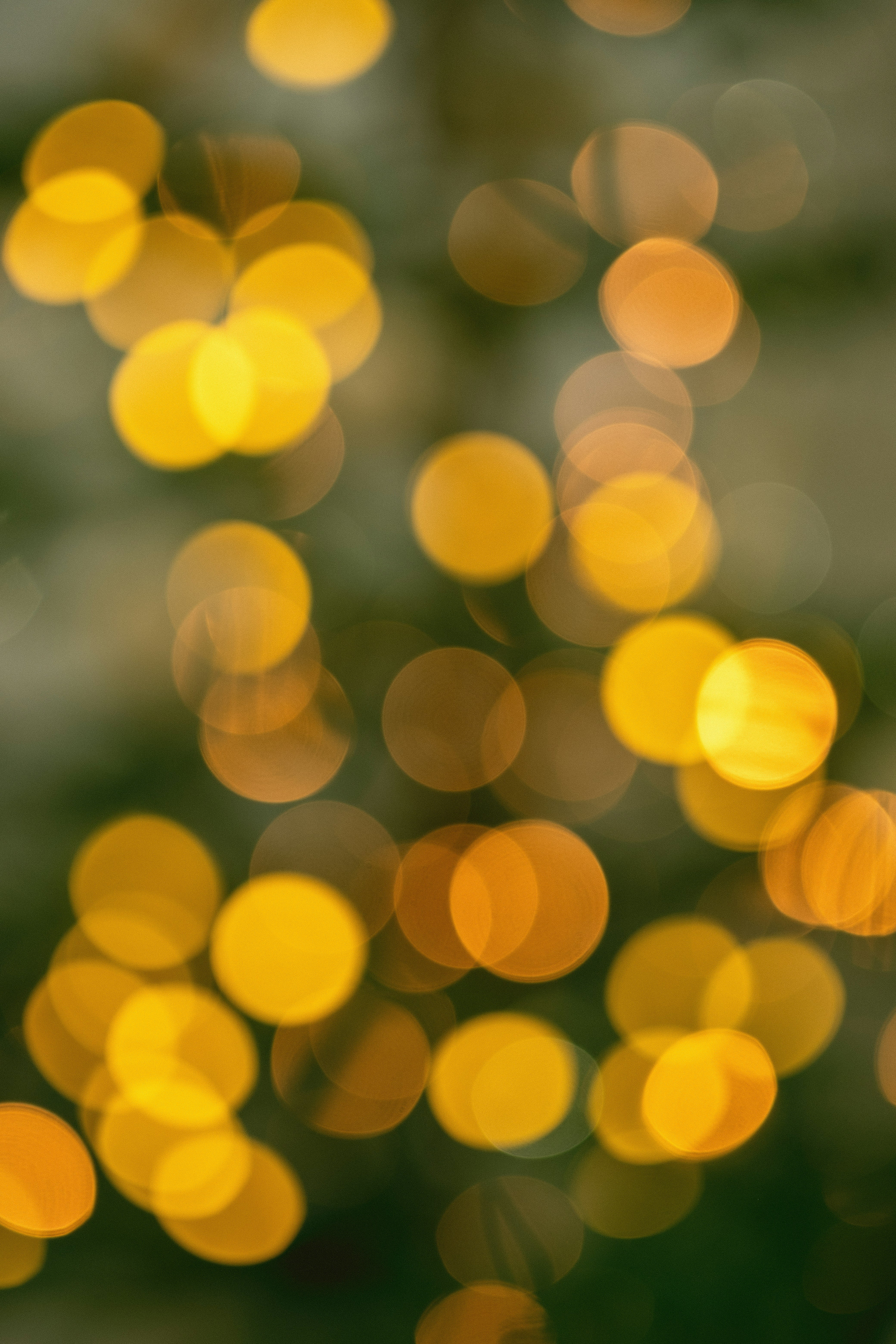 Photo by alex_quezada