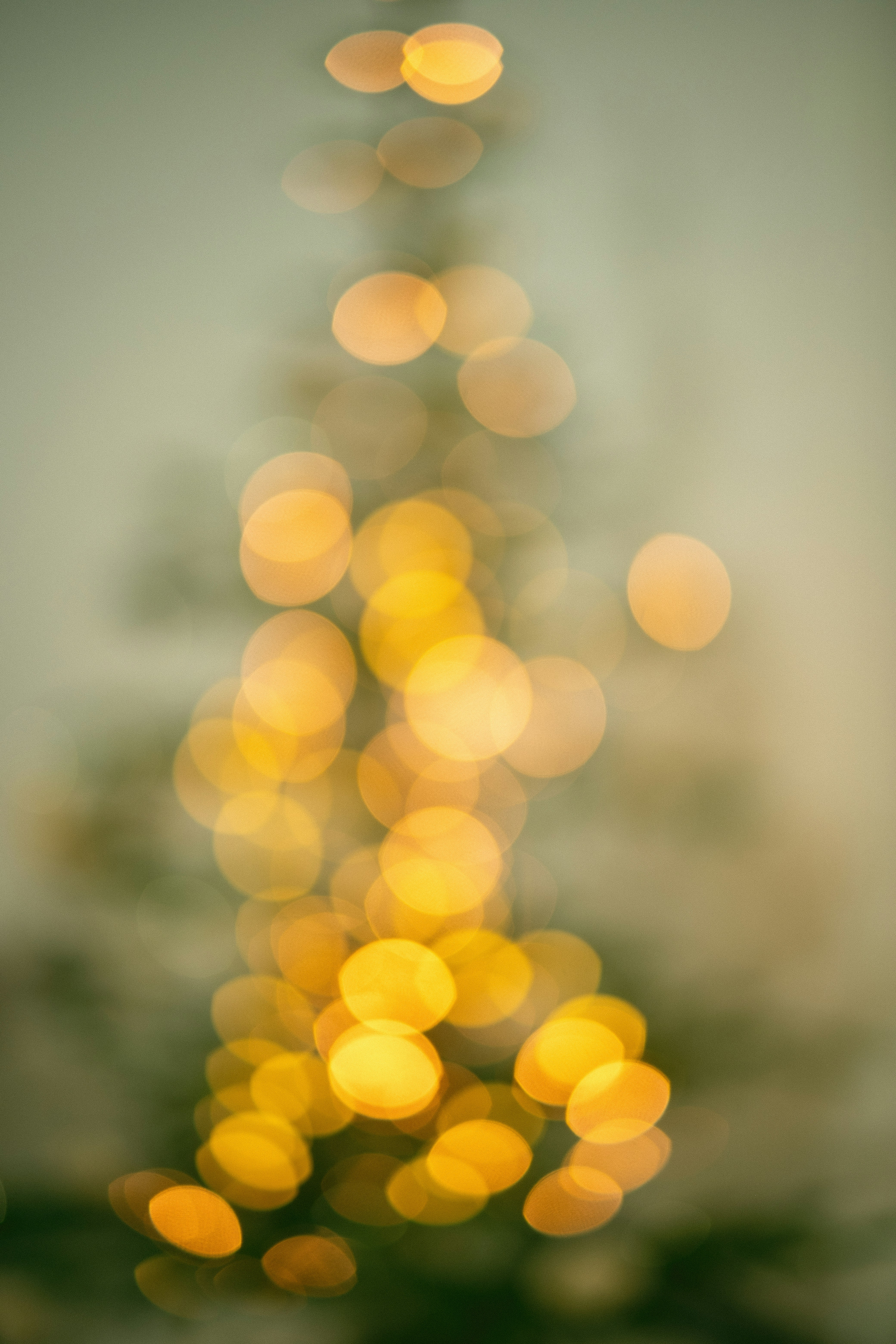 Photo by alex_quezada