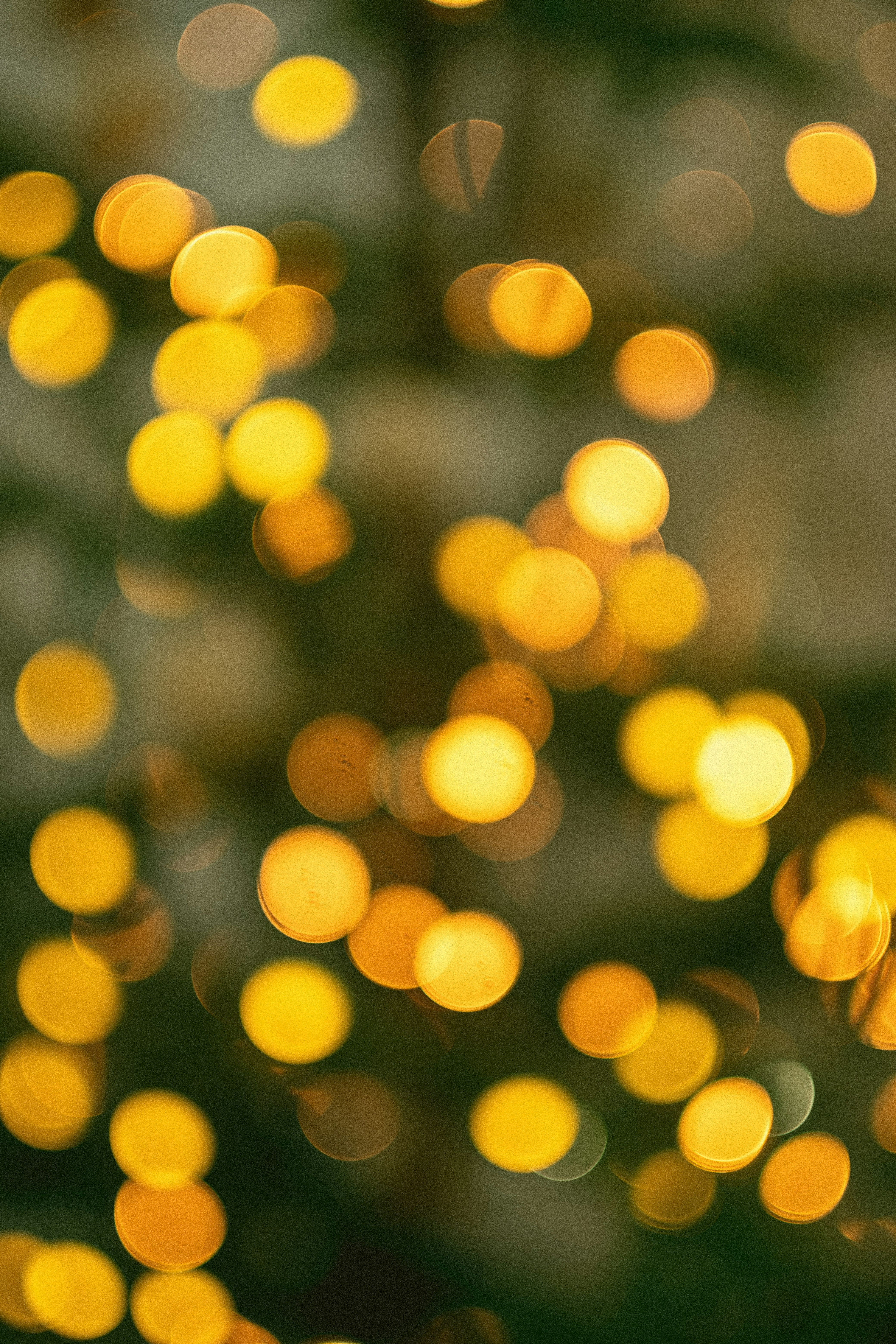 Photo by alex_quezada