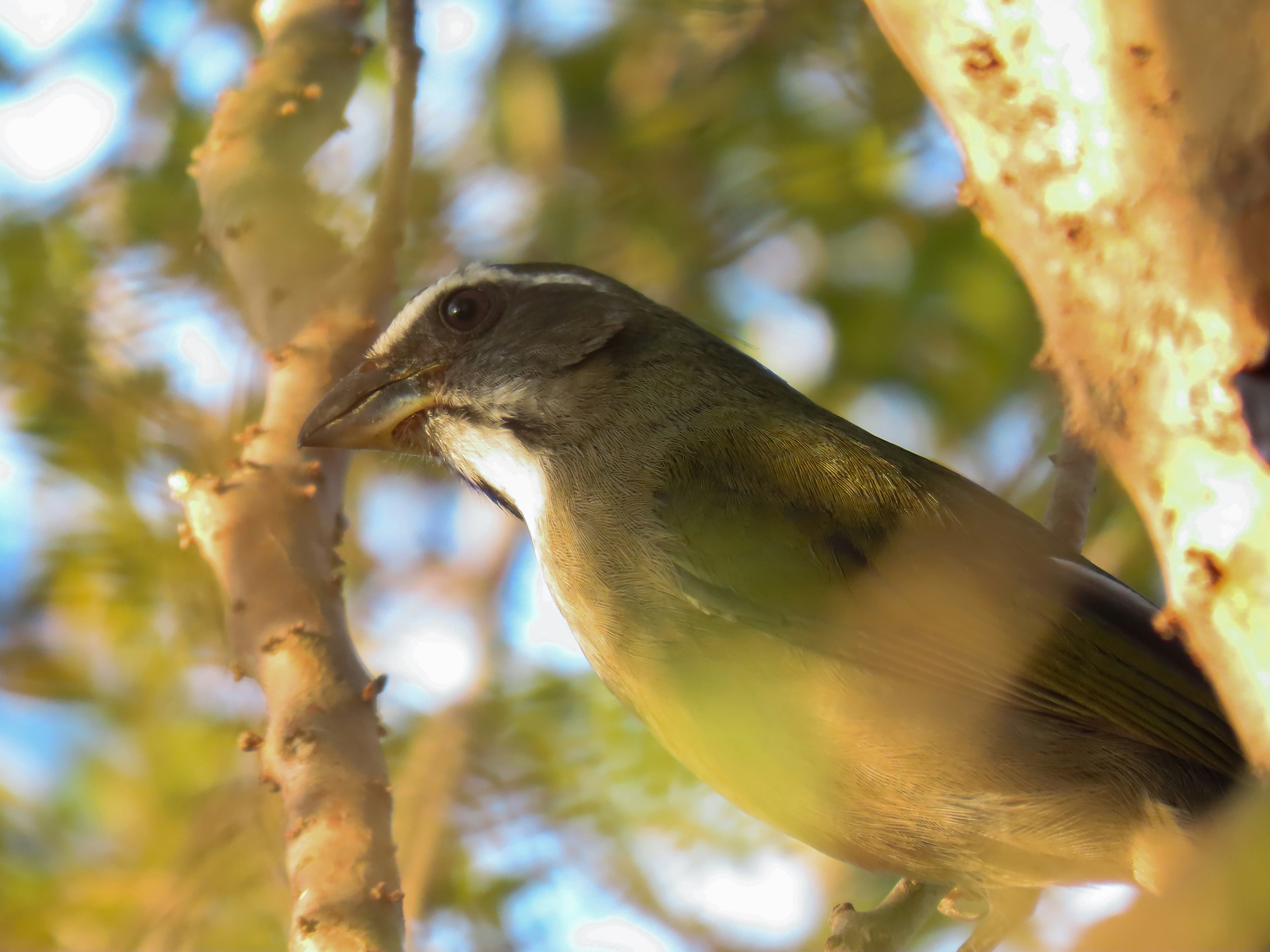 Photo by patricianicoloso