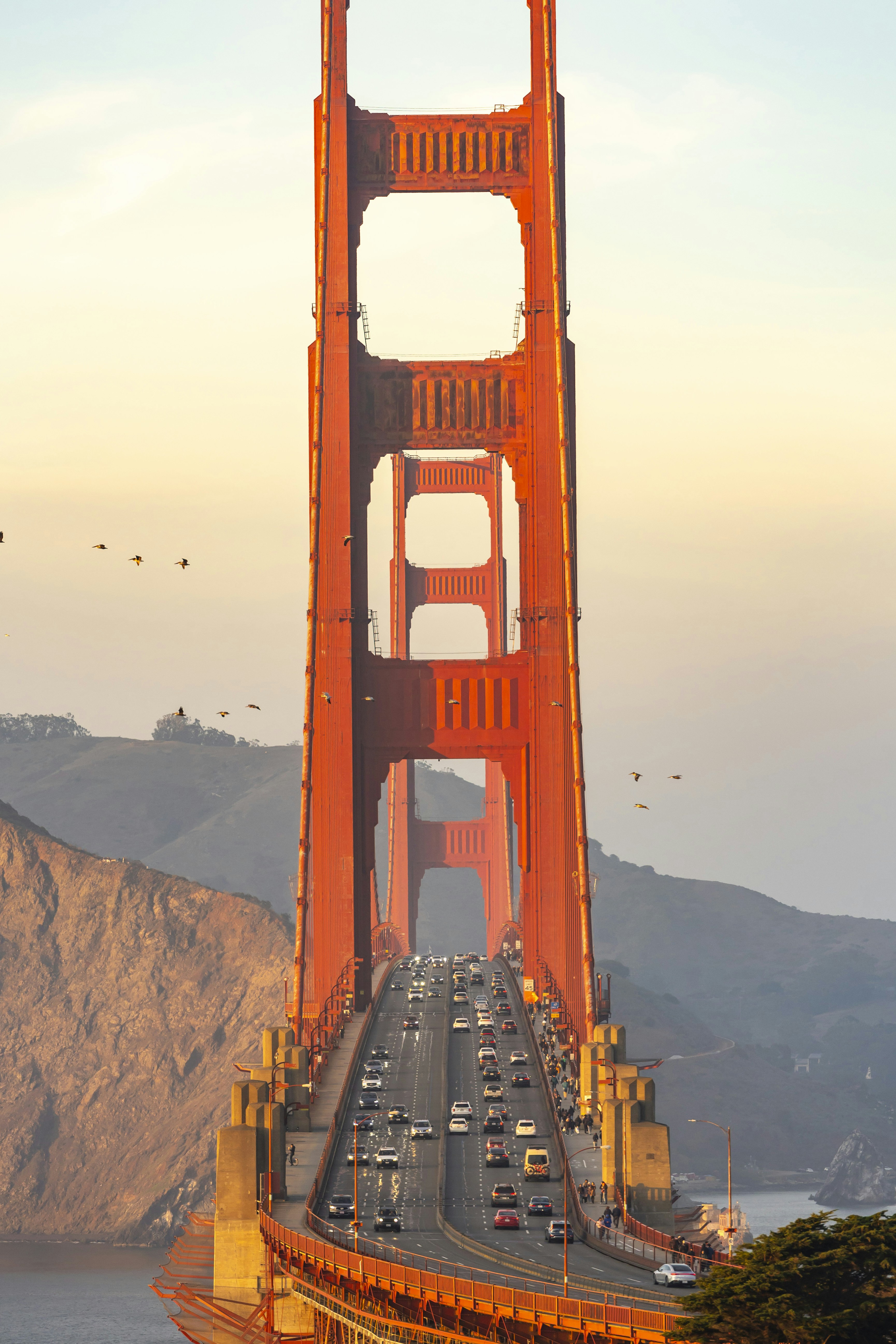 Photo by leo_visions_