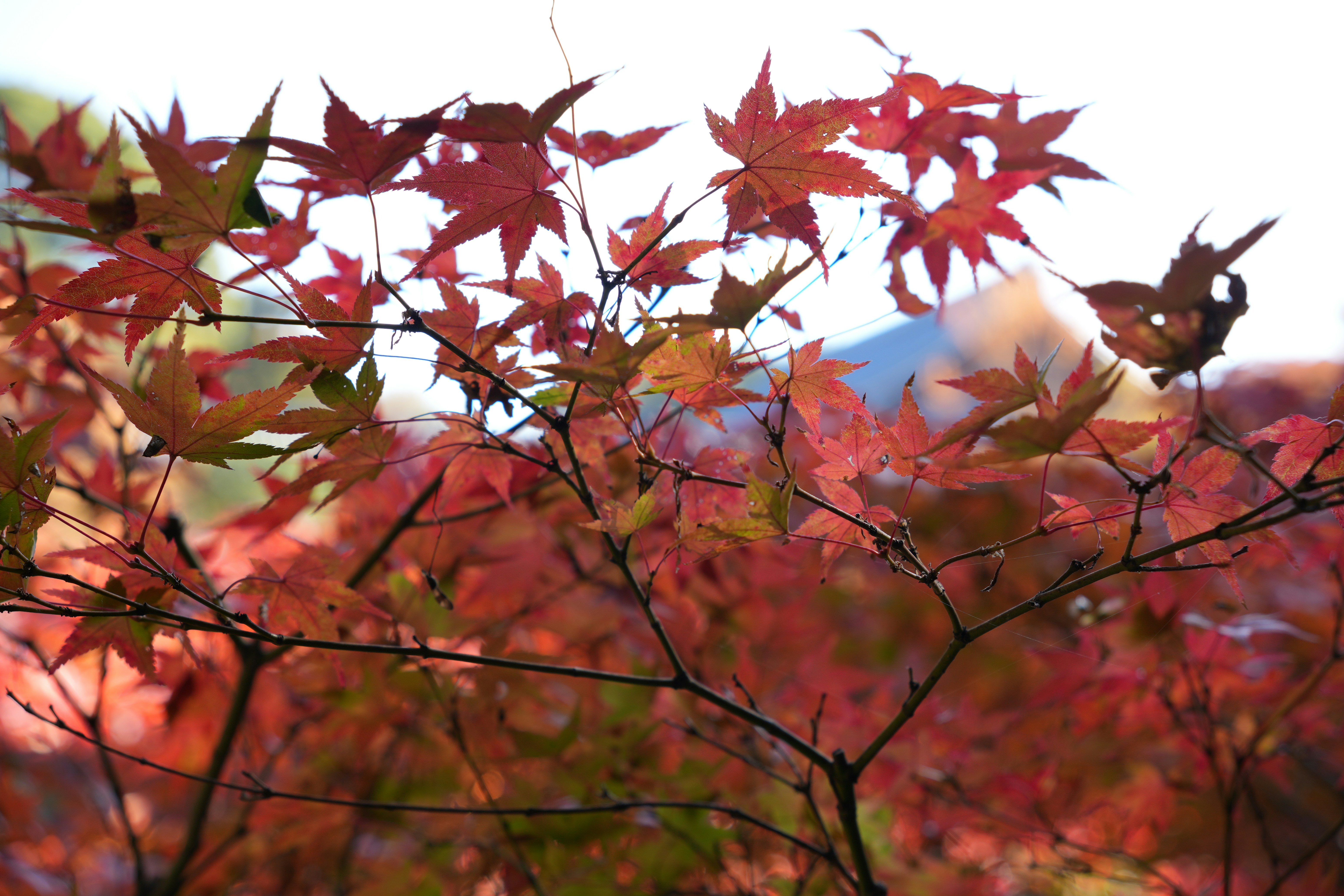 Photo by dm8ryphotos