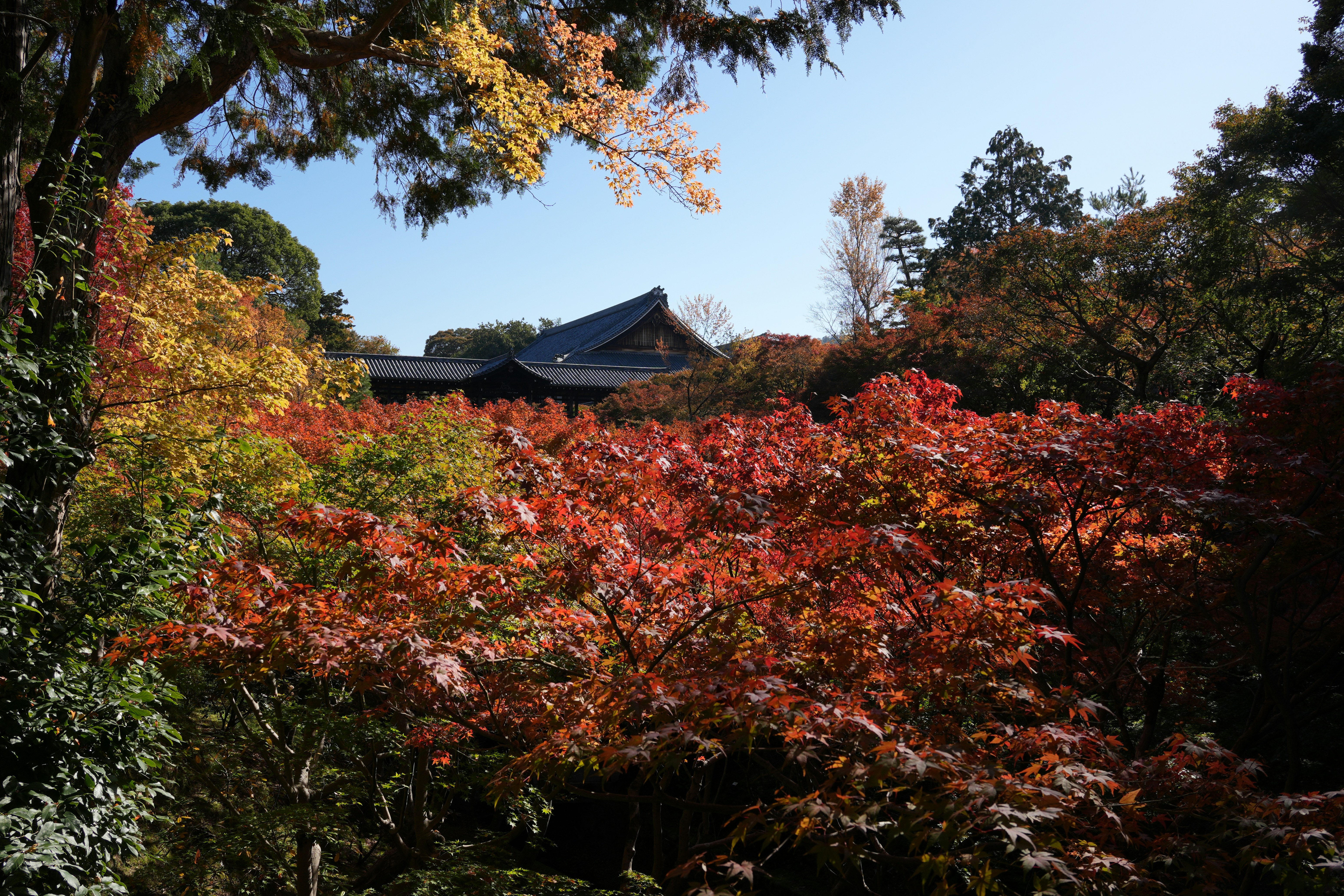 Photo by dm8ryphotos